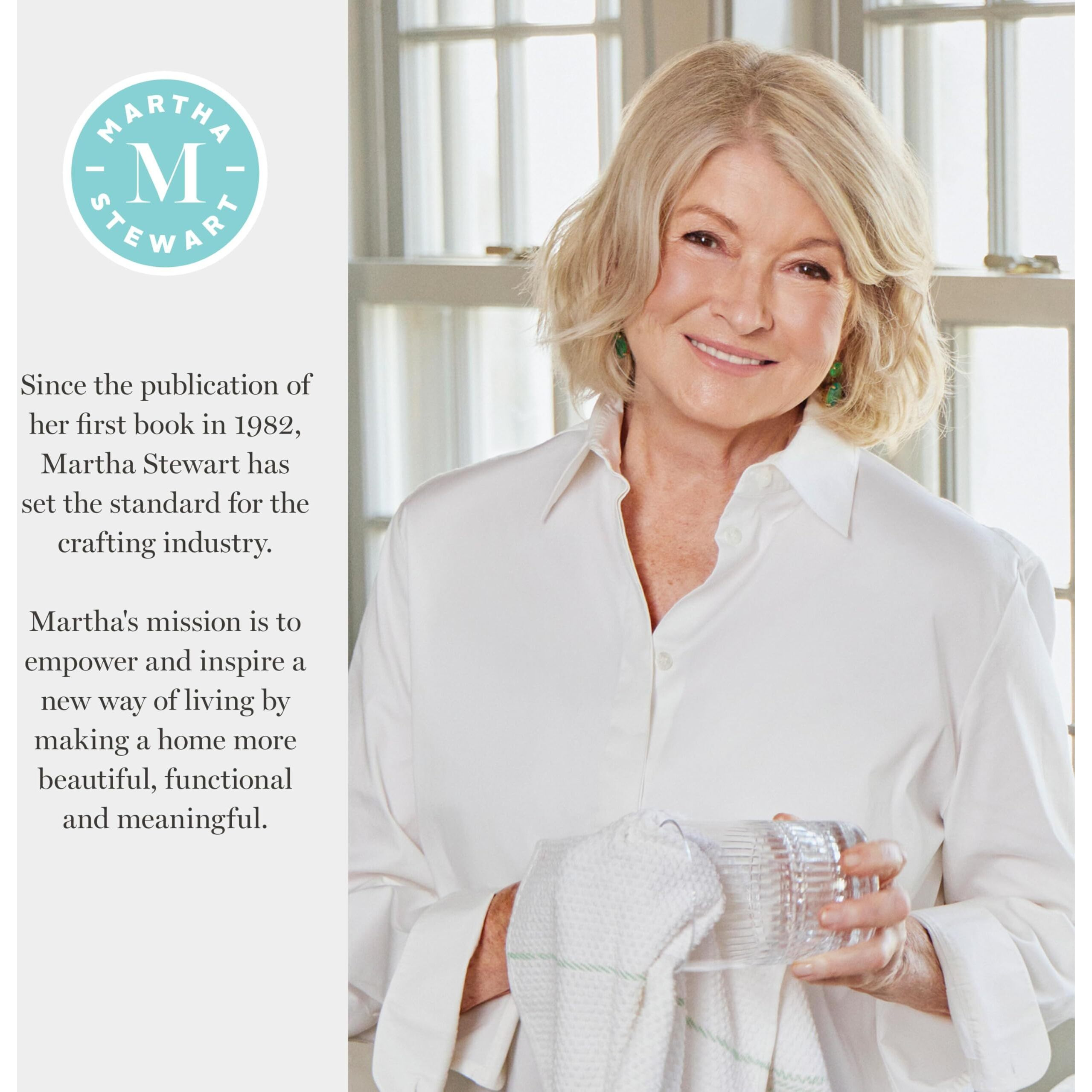 Martha Stewart  Multi-Surface Satin 12 Pc Paint Set  Solar Brights