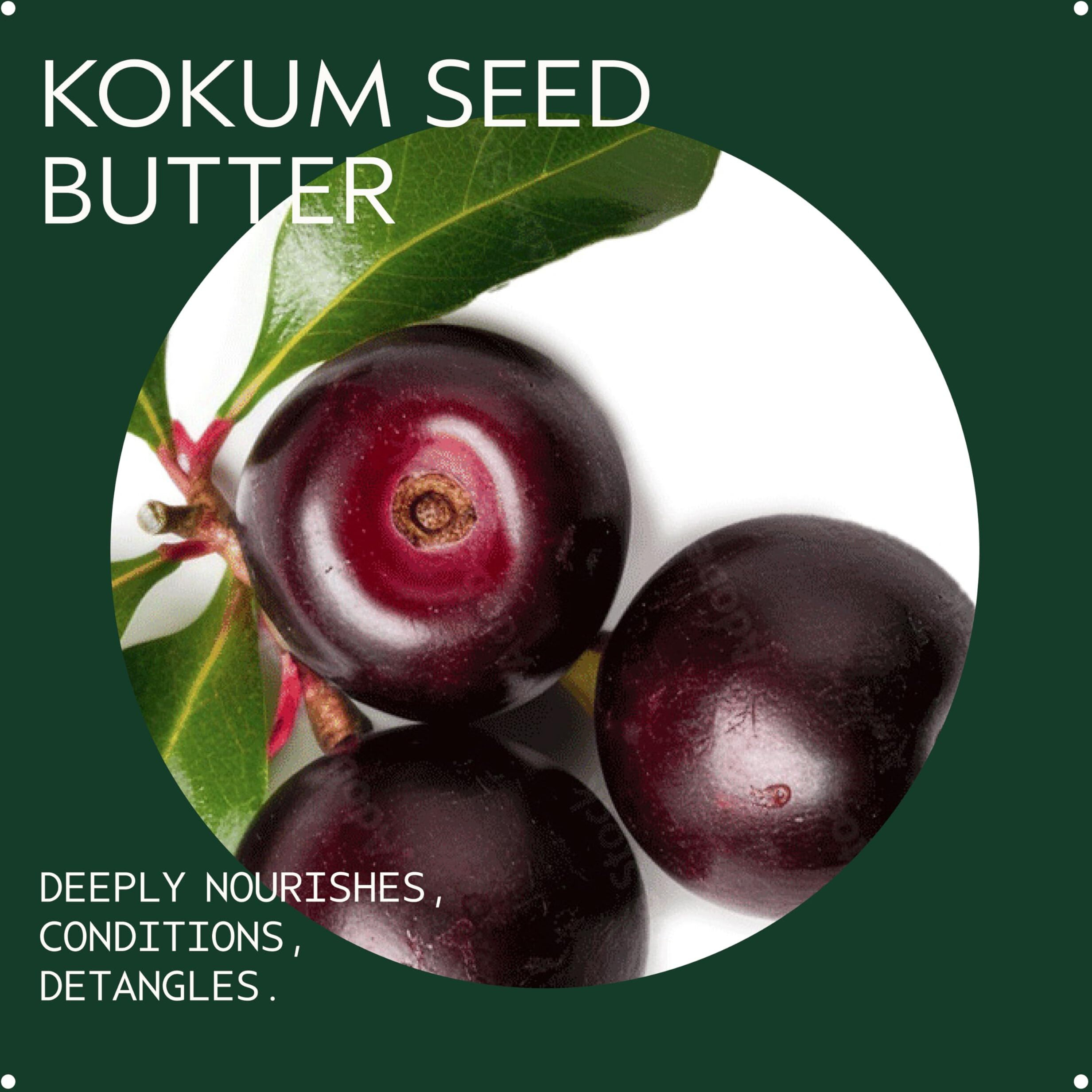 Aveda Be Curly Advanced Curl Enhancer Cream | Defines Curly And Wavy Hair | Reduces Frizz  Adds Shine | Silicone Free | 98% Naturally Derived*  1.3 Fl Oz