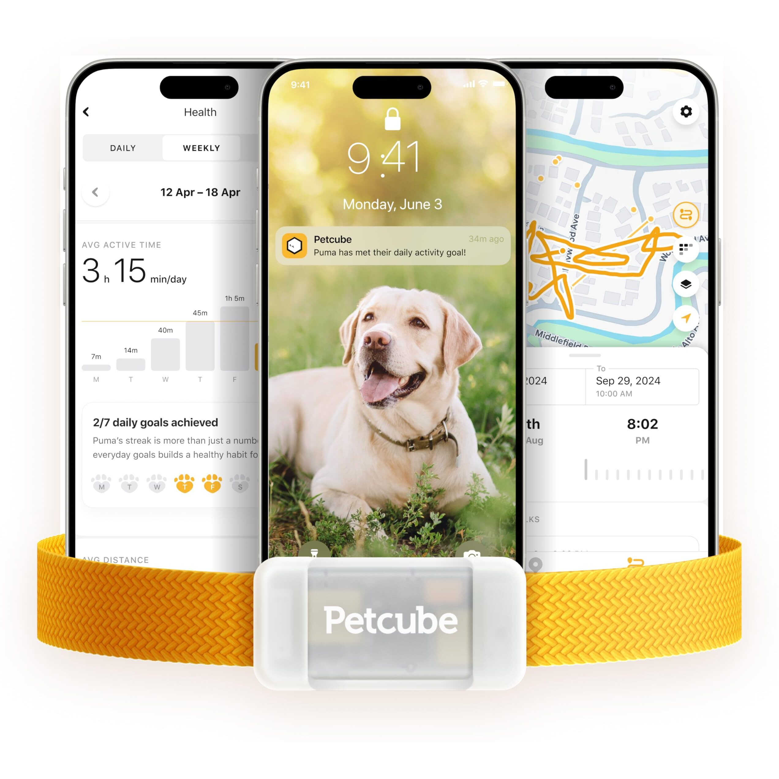 Petcube Gps Tracker For Dogs | Pet Gps Location Tracker With Escape Alerts And Virtual Fences  Activity And Wellness Monitoring  Glows In A Dark  Water And Dust Proof