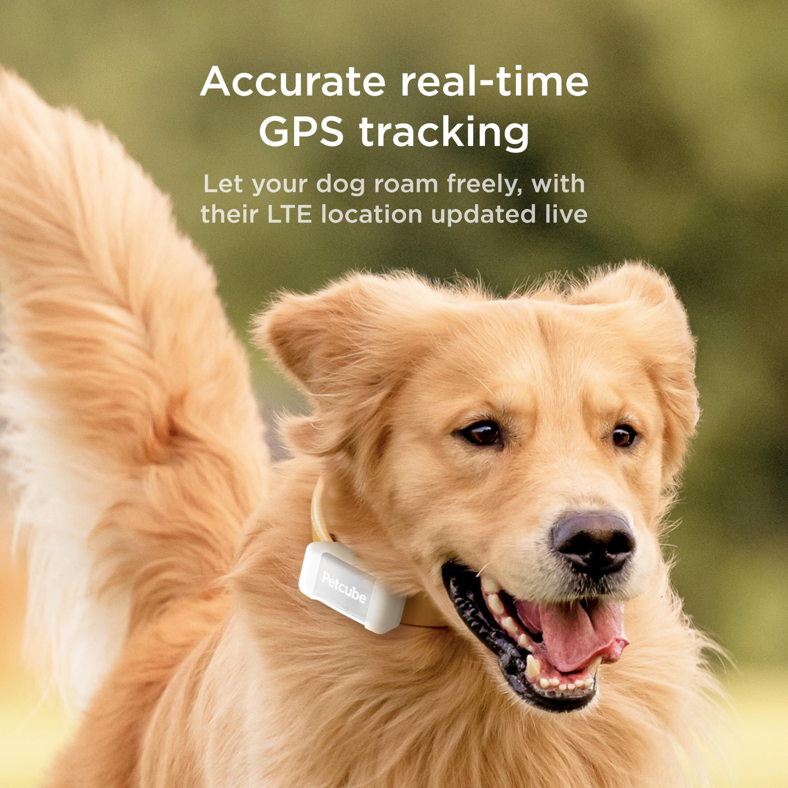 Petcube Gps Tracker For Dogs | Pet Gps Location Tracker With Escape Alerts And Virtual Fences  Activity And Wellness Monitoring  Glows In A Dark  Water And Dust Proof