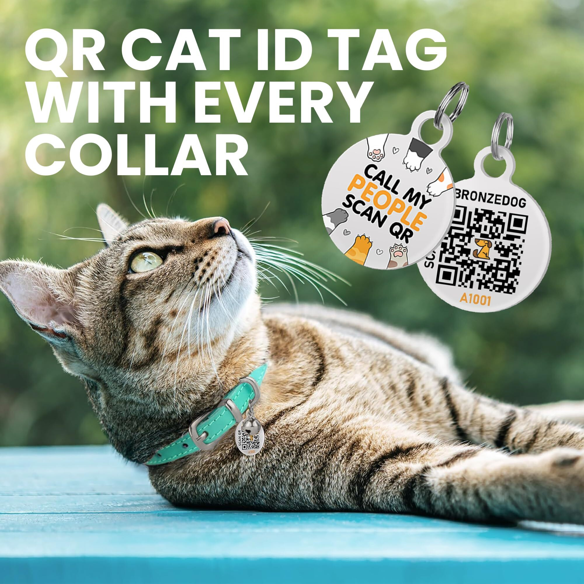 Bronzedog Leather Cat Collar With Removable Bells Non Breakaway Kitten Qr Tag For Girl Boy (7 "" - 9 "" For Cats  Turquoise & Silver)