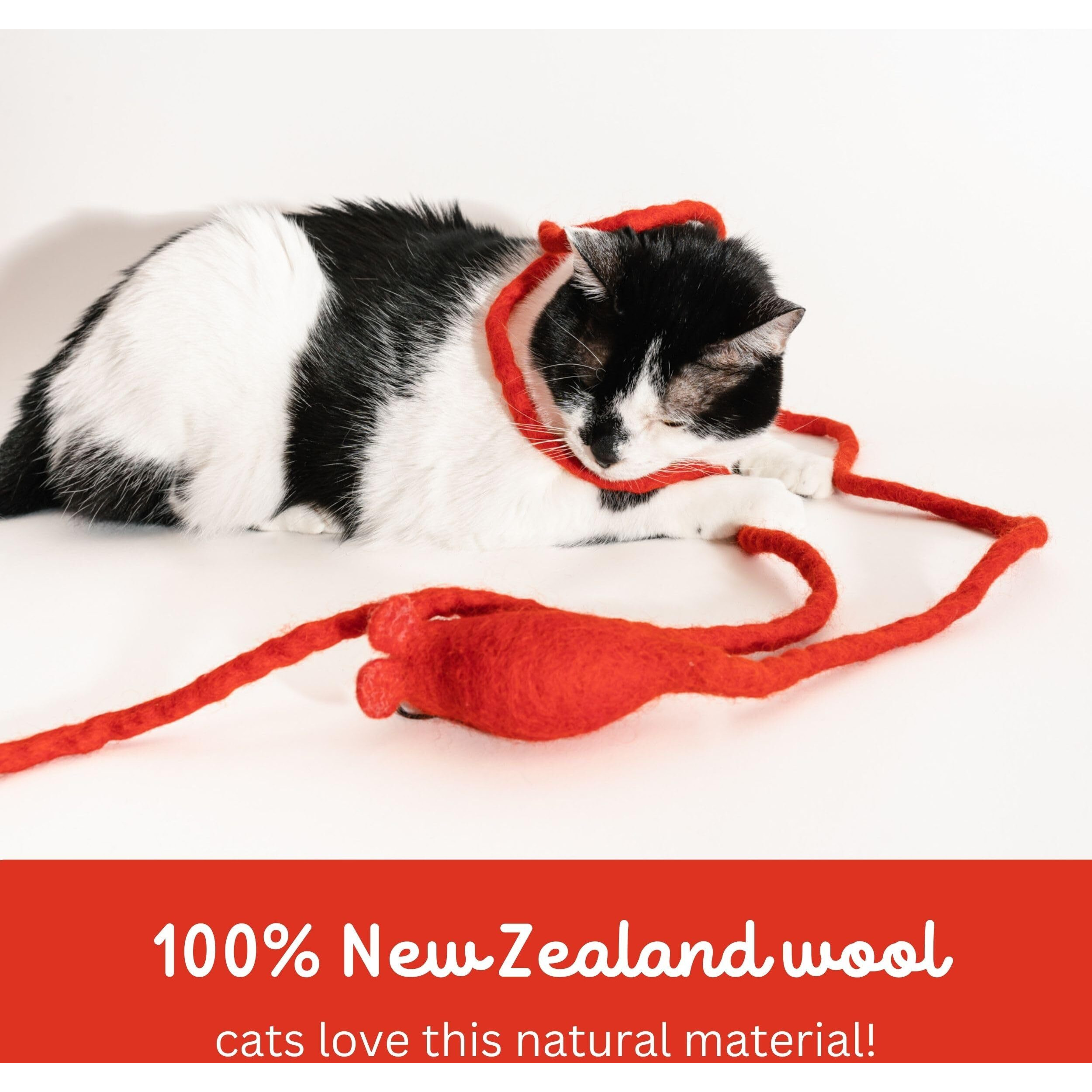 Catch A Mouse Wool Cat Toy With A 6-Ft Tail For Indoor Cats & Kittens. Cute Toy Mouse  Rat Plush Toy  Fake Mice. No Catnip. Pride (Rainbow)