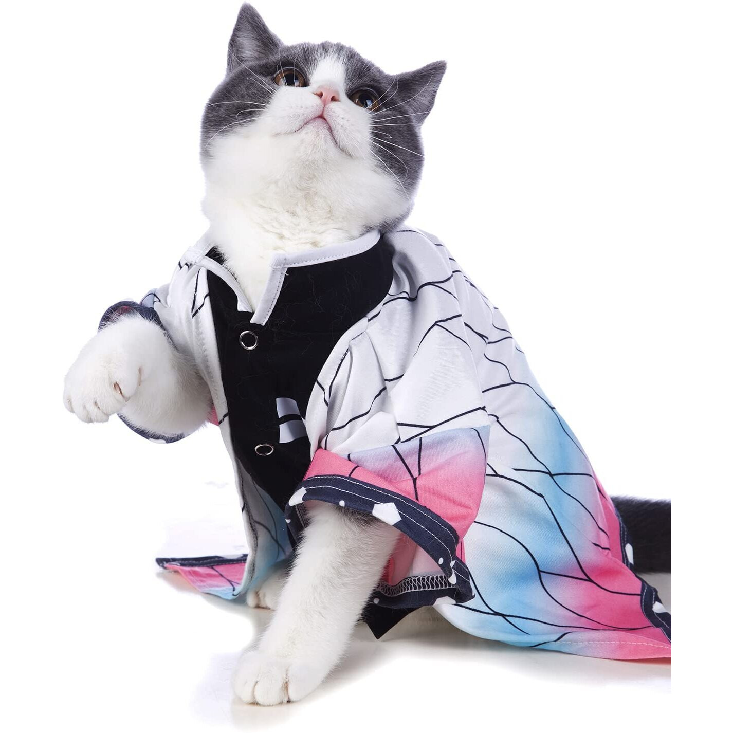 Impoosy Cat Halloween Costume Funny Puppy Clothing Kitten Cosplay Pet Clothes Small Dog Outfits (Large)