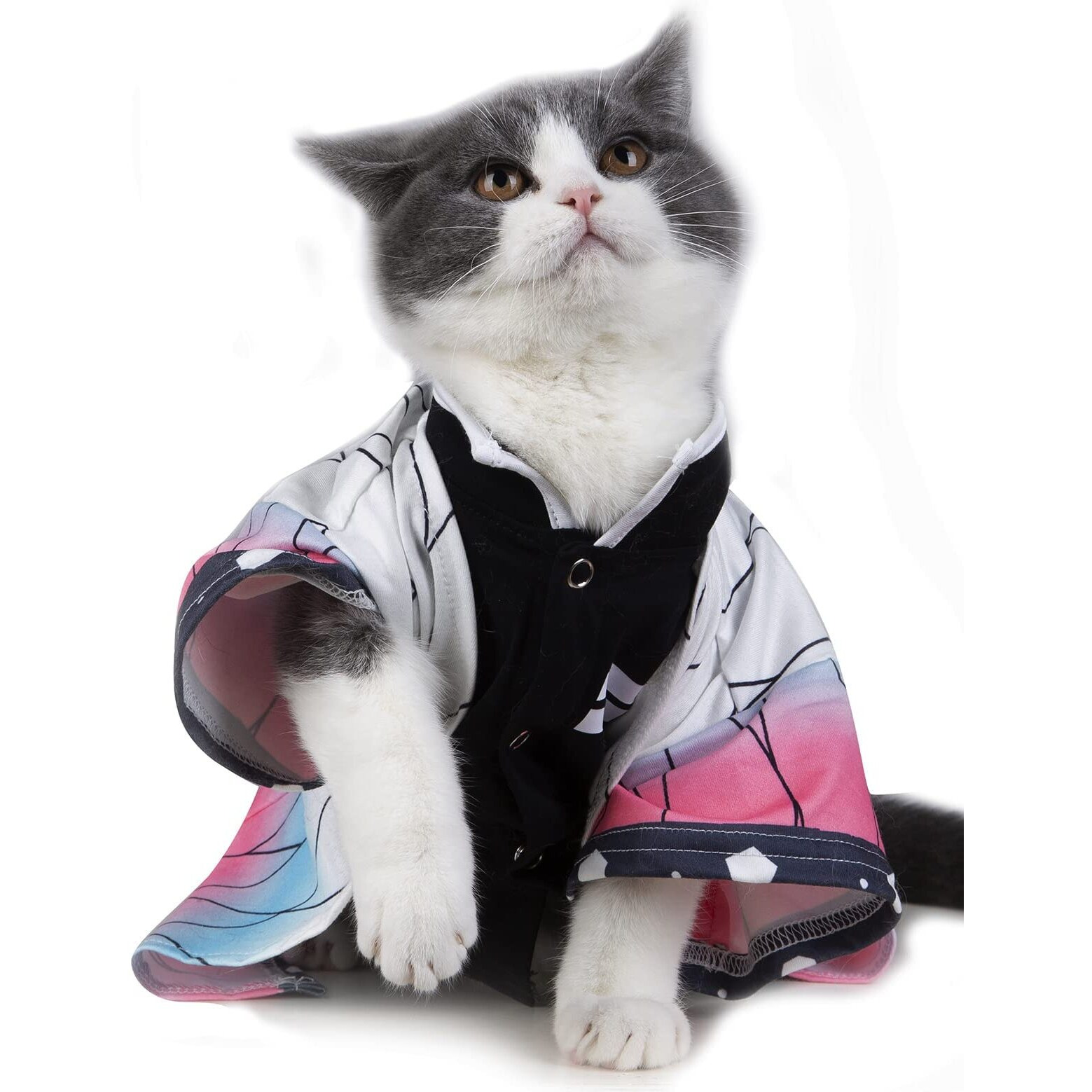 Impoosy Cat Halloween Costume Funny Puppy Clothing Kitten Cosplay Pet Clothes Small Dog Outfits (Large)