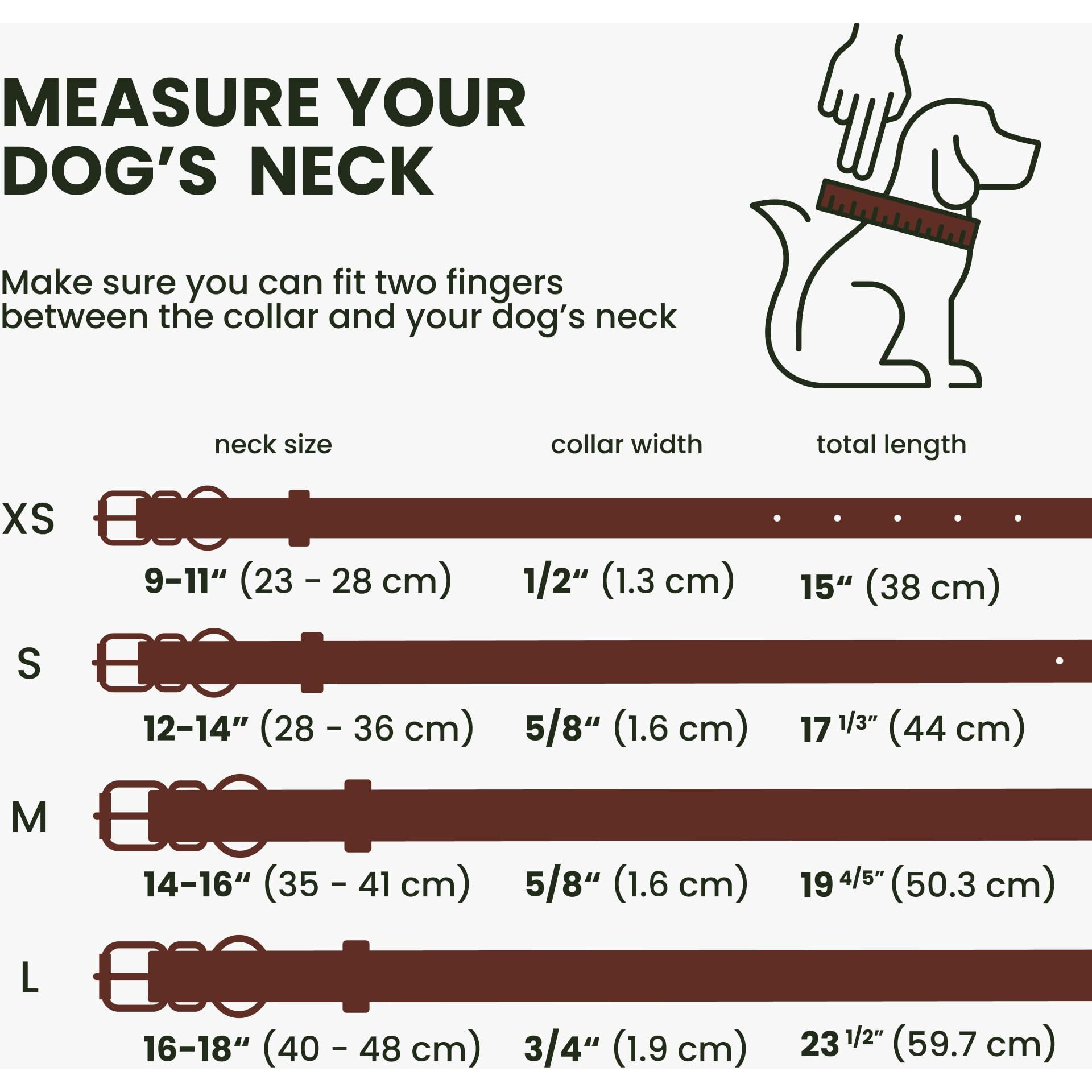 Bronzedog Rolled Leather Dog Collar For Small Medium Large Dogs With Qr Id Tag (Xs 9-11 Inch  Chocolate Brown)