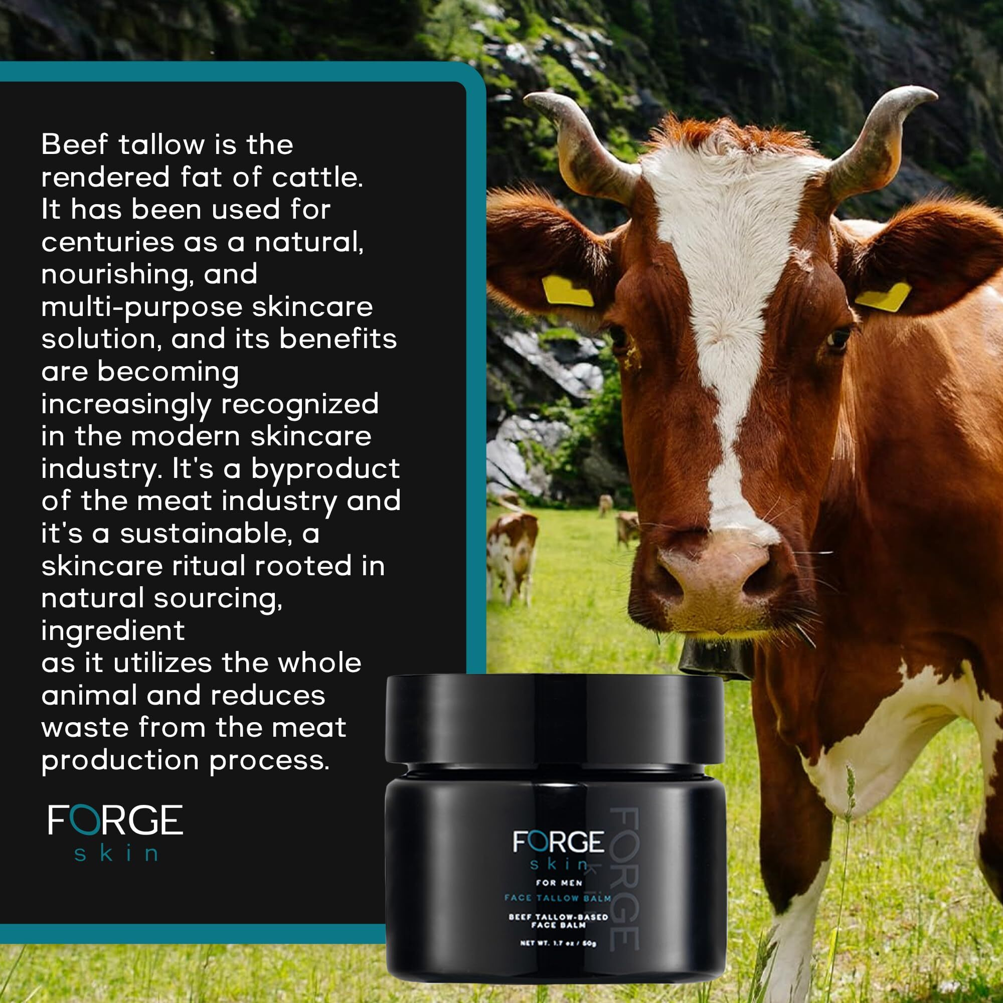 The Forge Skin Men's Beef Tallow Balm For Skin | Beef Tallow For Skin Face Mens Skin Care Cream Facial Skincare Face Moisturizer For Men
