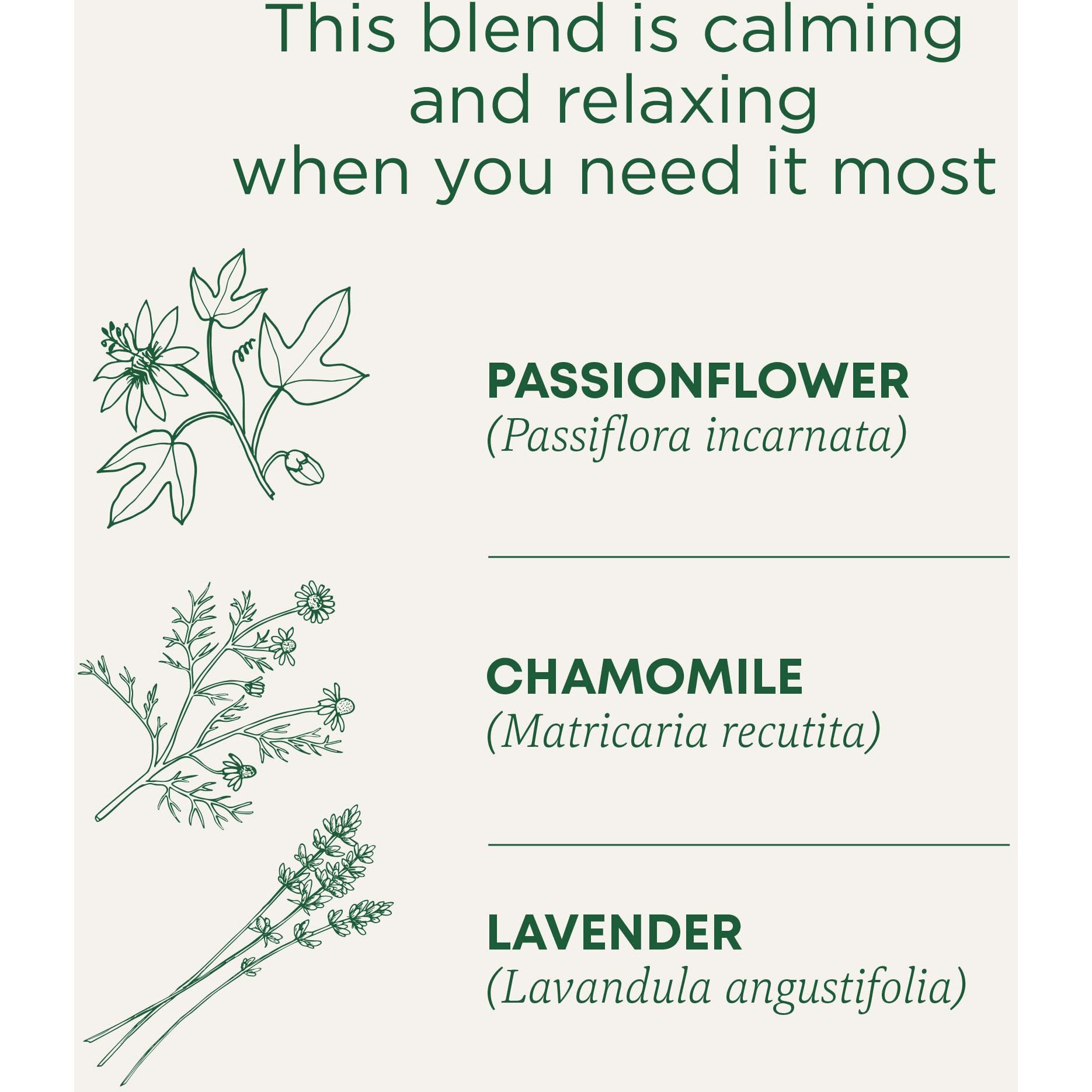 Traditional Medicinals Tea, Organic Cup Of Calm, Calming & Relaxing With Chamomile Mint, 96 Tea Bags (6 Pack)