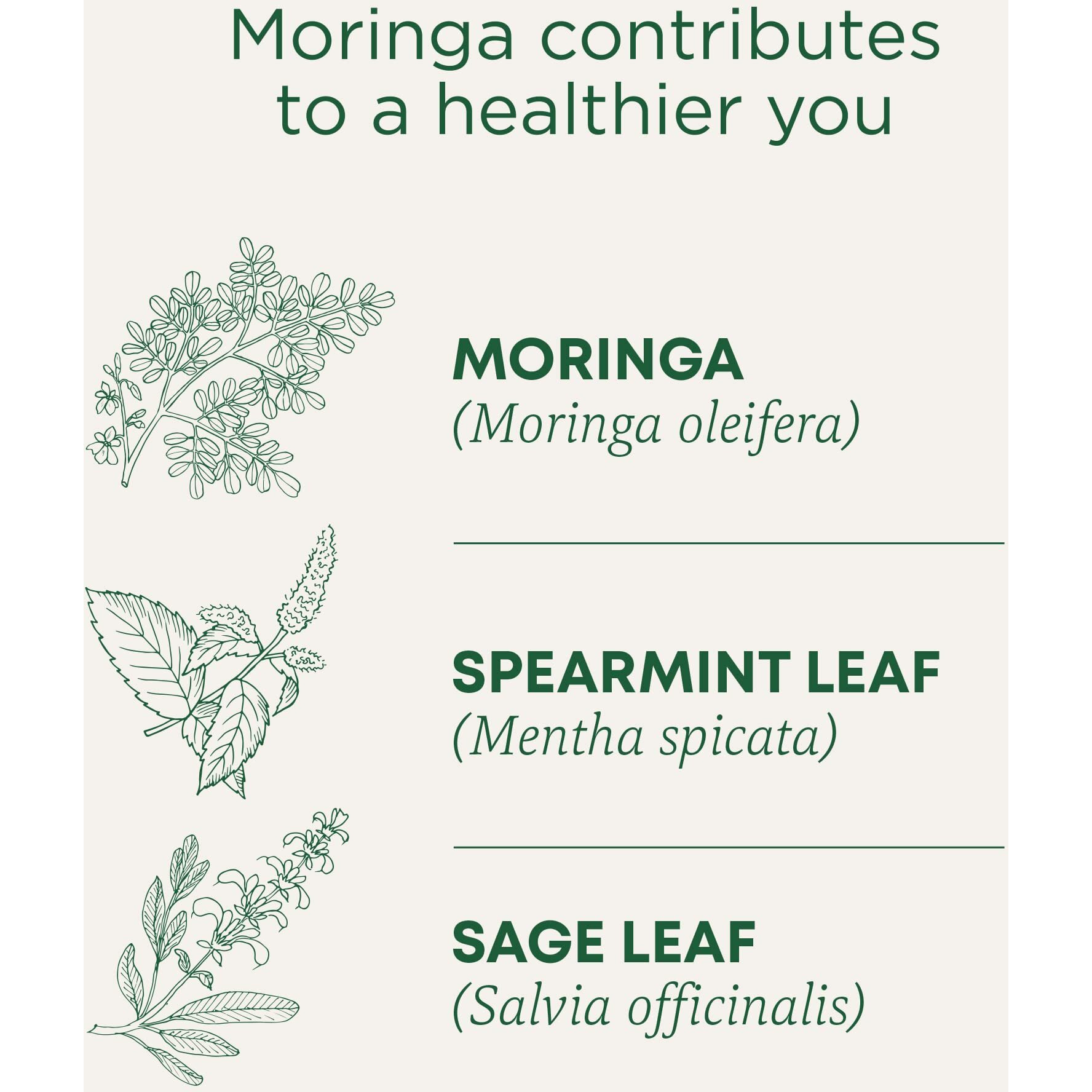 Traditional Medicinals Organic Moringa Tea, With Spearmint & Sage, Usda Certified Organic, Non-Gmo, 16 Count (Pack Of 6)
