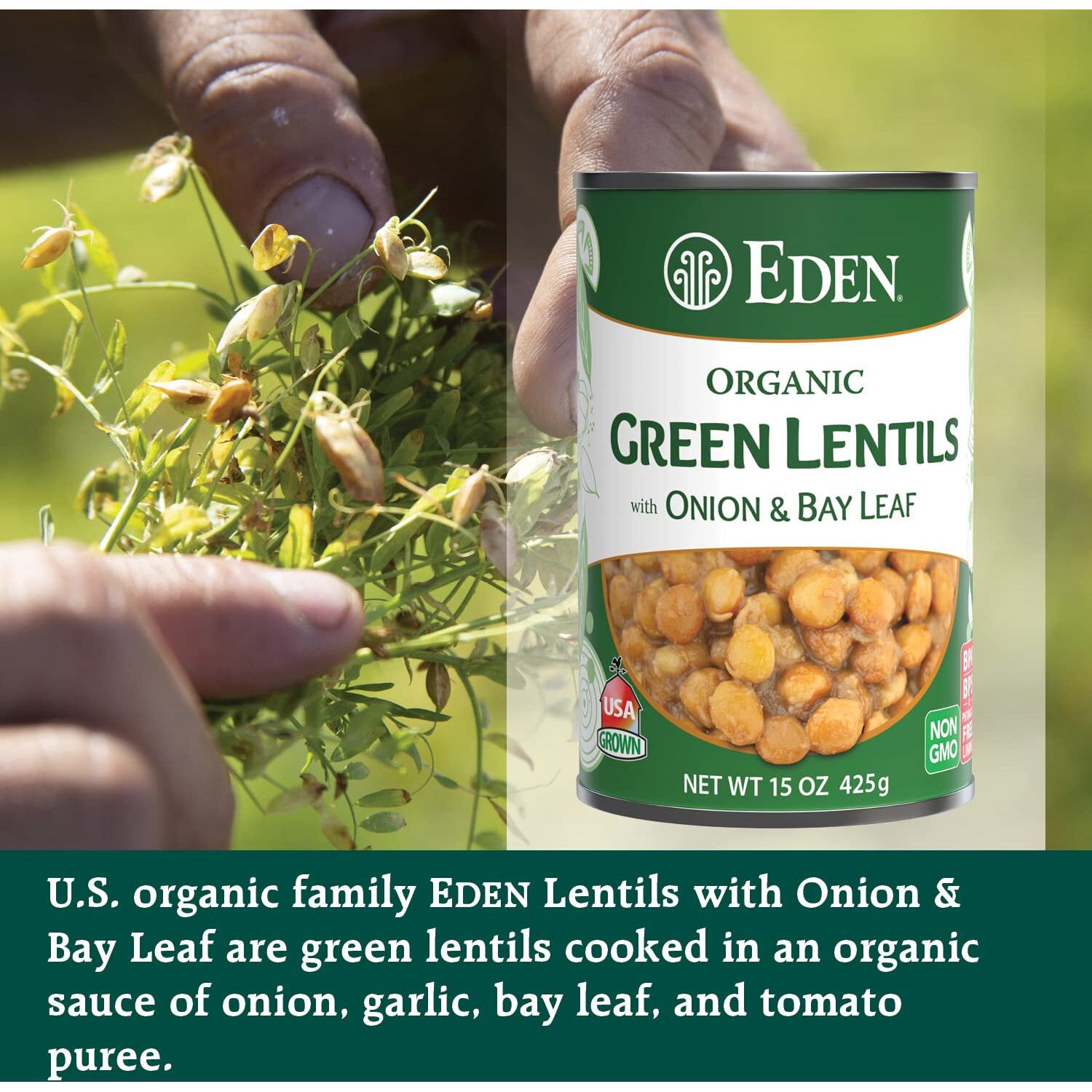 Eden Organic Green Lentils With Onion And Bay Leaf, 15 Oz Can (12-Pack Case), Non-Gmo, Vegan, Kosher, U.S. Grown, Heat And Serve, Add Water For Easy Soup