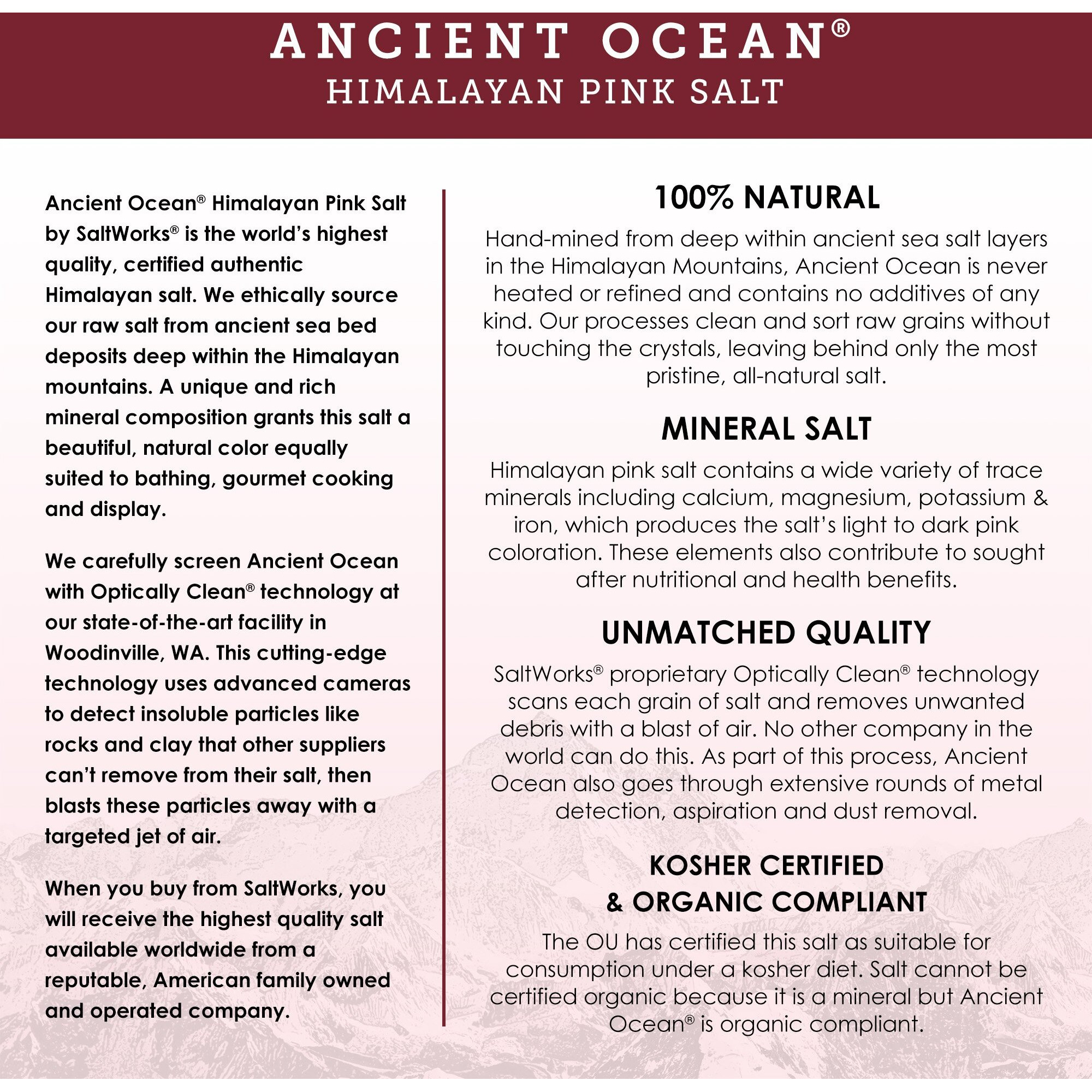 Saltworks Artisan Salt Company Ancient Ocean Himalayan Pink Salt, Fine Grain, Pour Spout Pouch, 16 Ounce