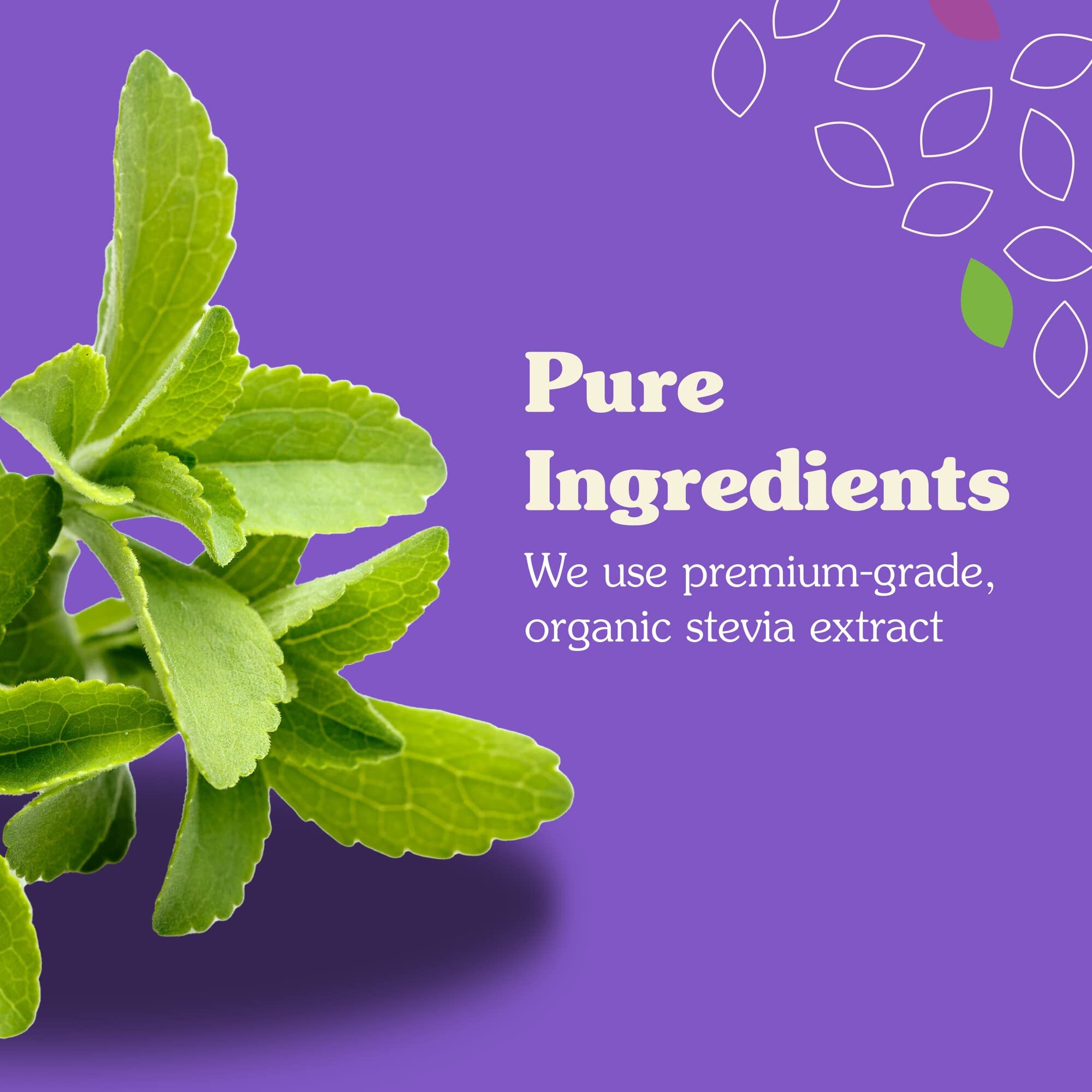 Nunaturals Stevia Syrup, Sugar-Free Sweetener, Plant-Based Sugar Substitute, Zero Calorie, Sugar-Free Syrup, Chai Spice, 6.6Oz (3-Pack)