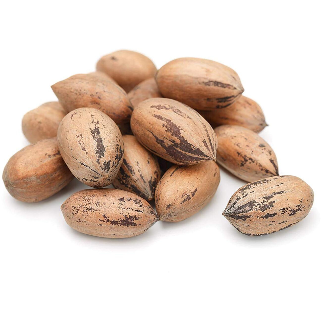 Anna And Sarah Premium Georgian Raw Fresh Pecans In Shell (9 Lbs In Box)