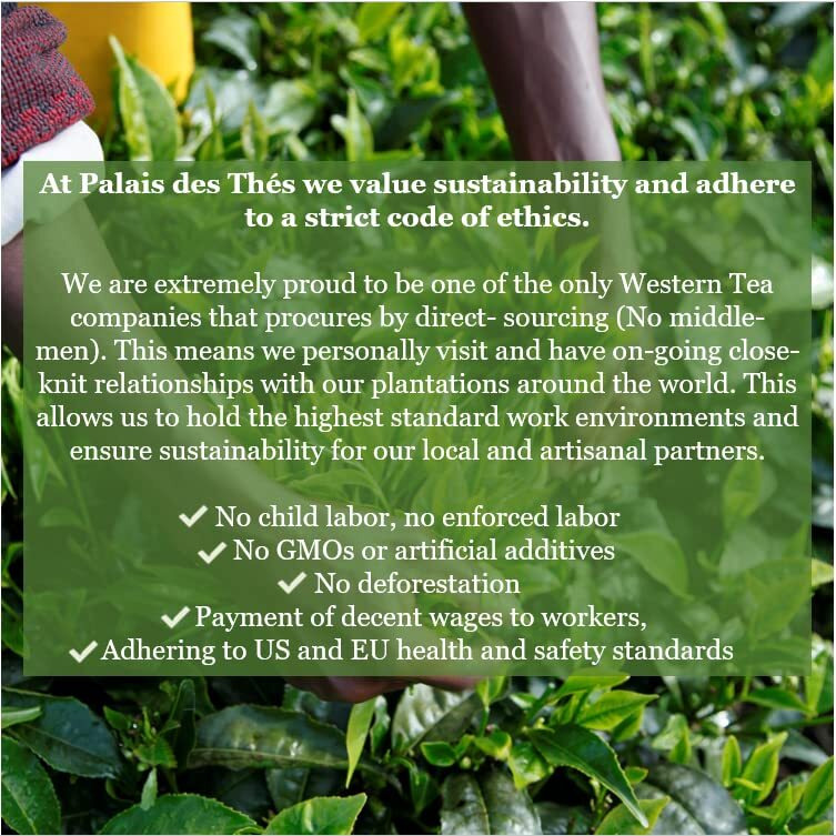 Palais Des Th  S - Fleur De Geisha - Premium Green Tea With Cherry Blossom Flavors - 20 Count Biodegradable Tea Bags Box