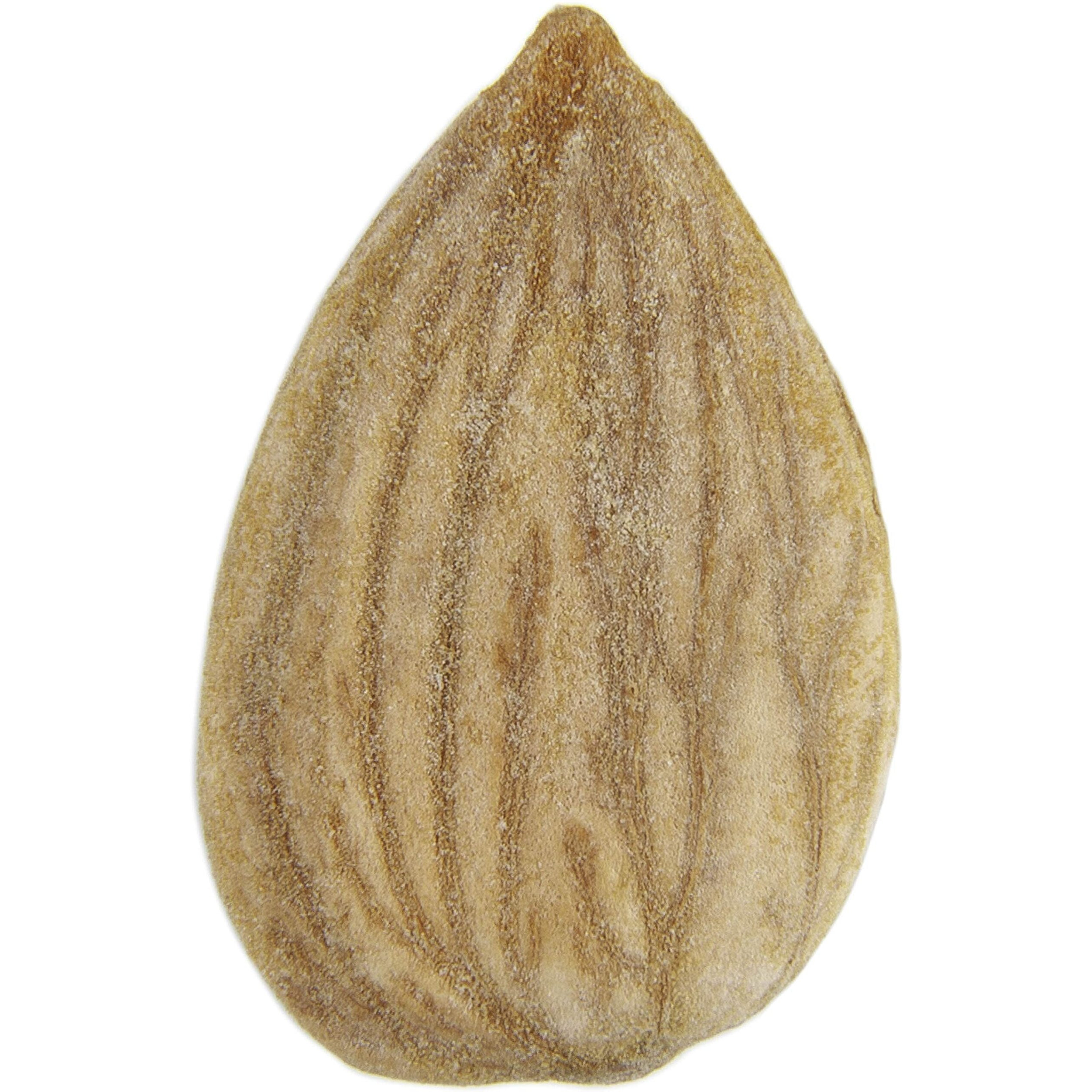 Zf Sweet Apricot Kernels (6X5.30)