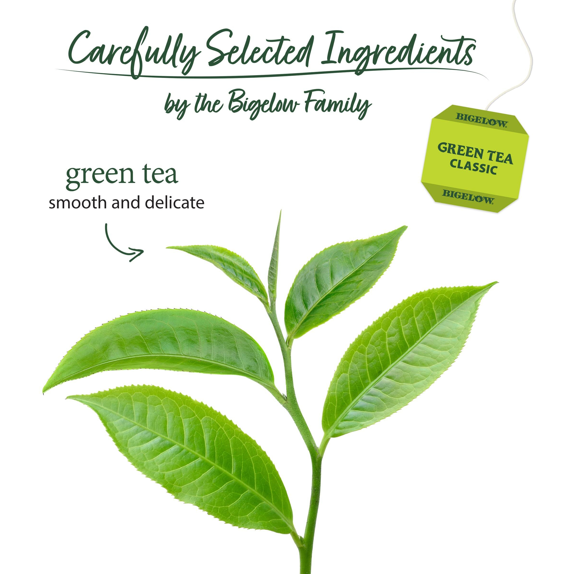 Bigelow Tea Classic Green Tea, Caffeinated Tea With Green Tea, 40 Count Box (Pack Of 6), 240 Total Tea Bags
