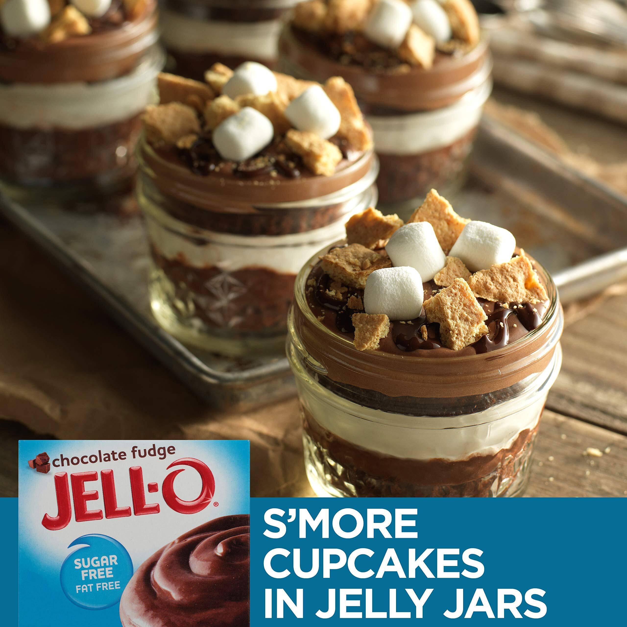 Jell-O Chocolate Fudge Sugar Free & Fat Free Instant Pudding & Pie Filling Mix (1.4 Oz Box) Pack Of 24