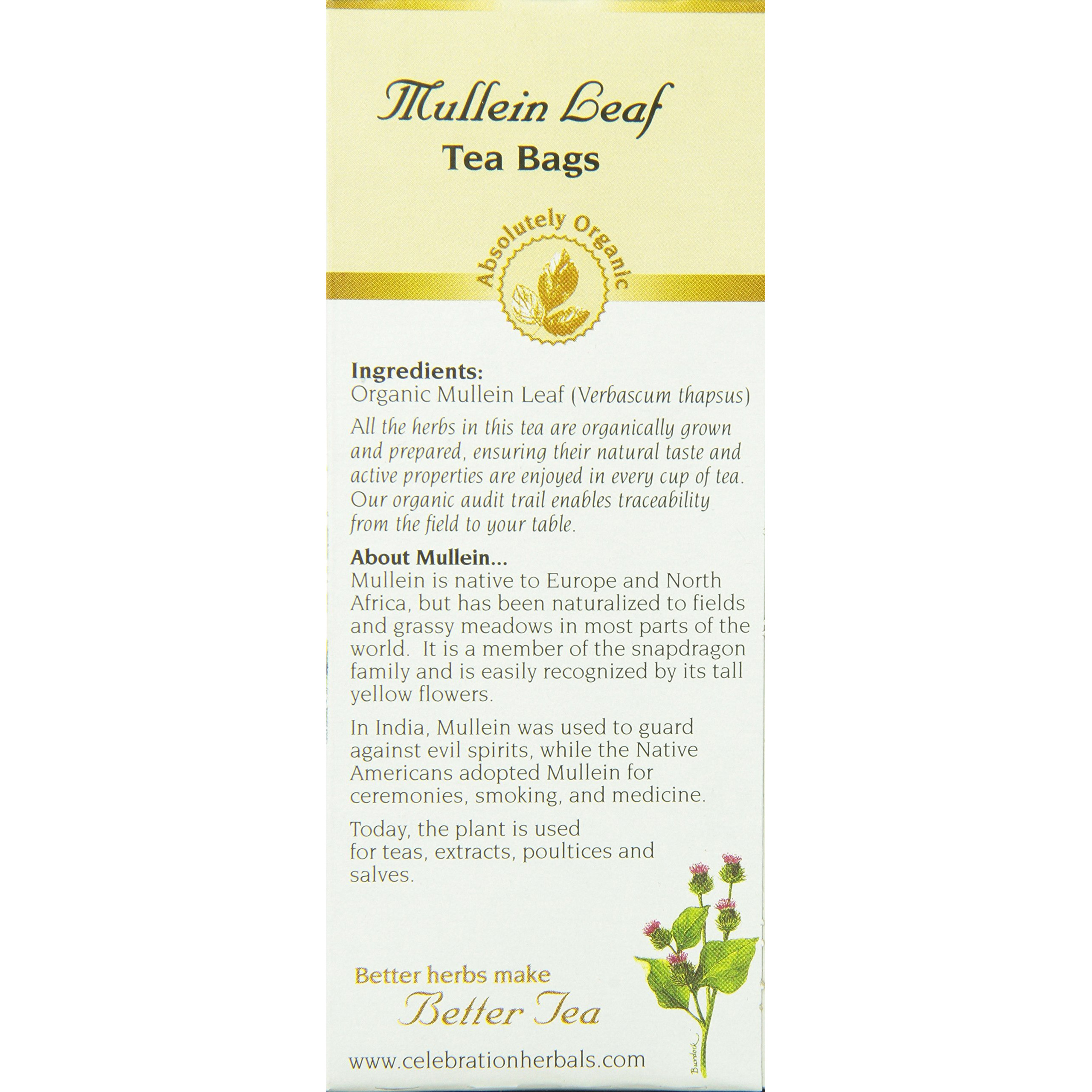Celebration Herbals Organic Mullein Leaf Tea Bags 24 Count