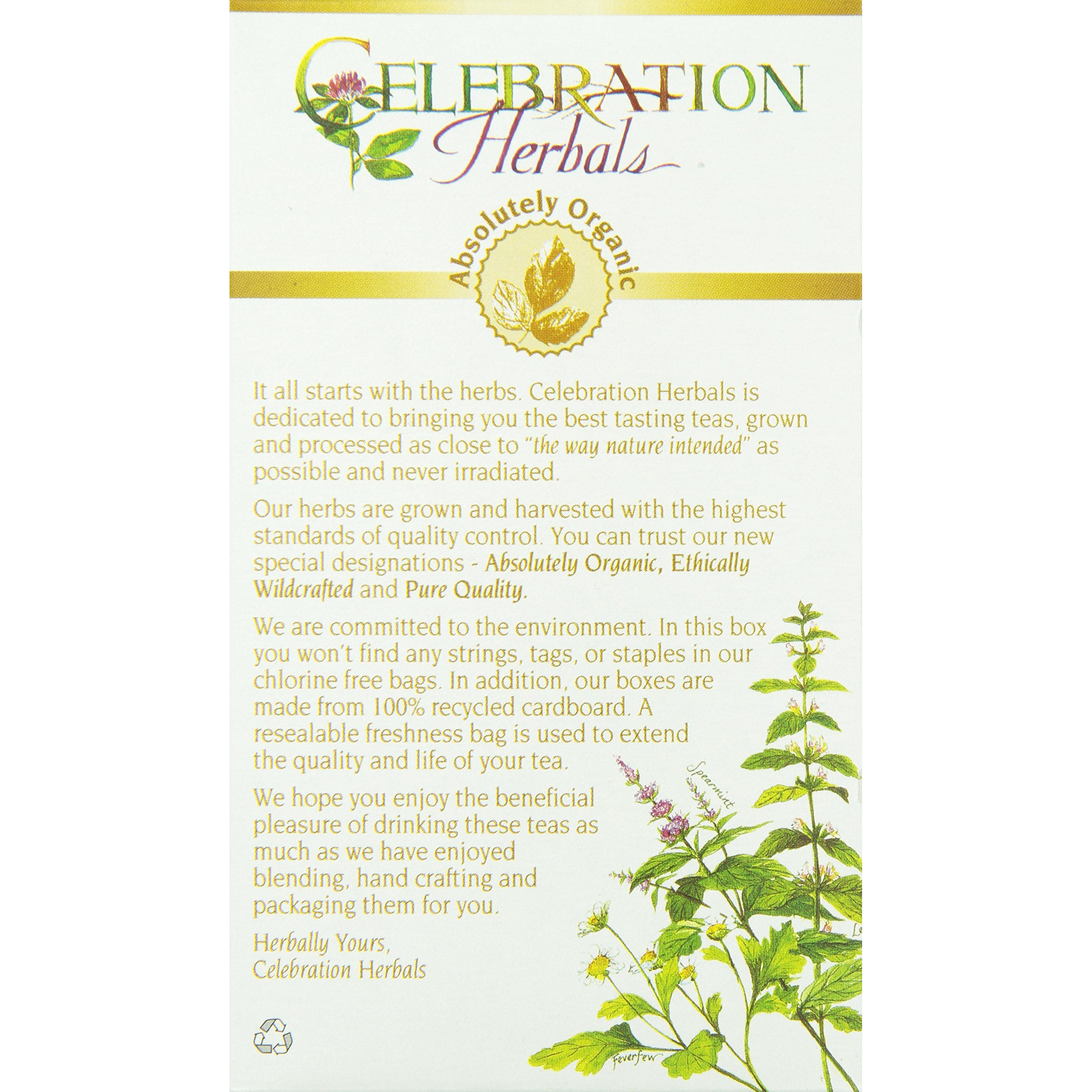 Celebration Herbals Organic Mullein Leaf Tea Bags 24 Count