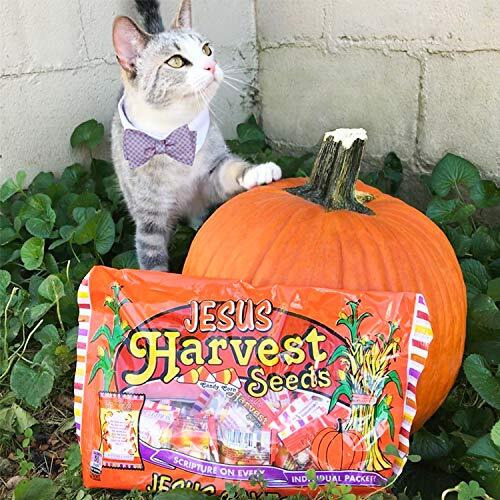 Scripture Candy, Jesus Harvest Orange, Yellow & White Candy Corn Promise Seeds, 15 Count