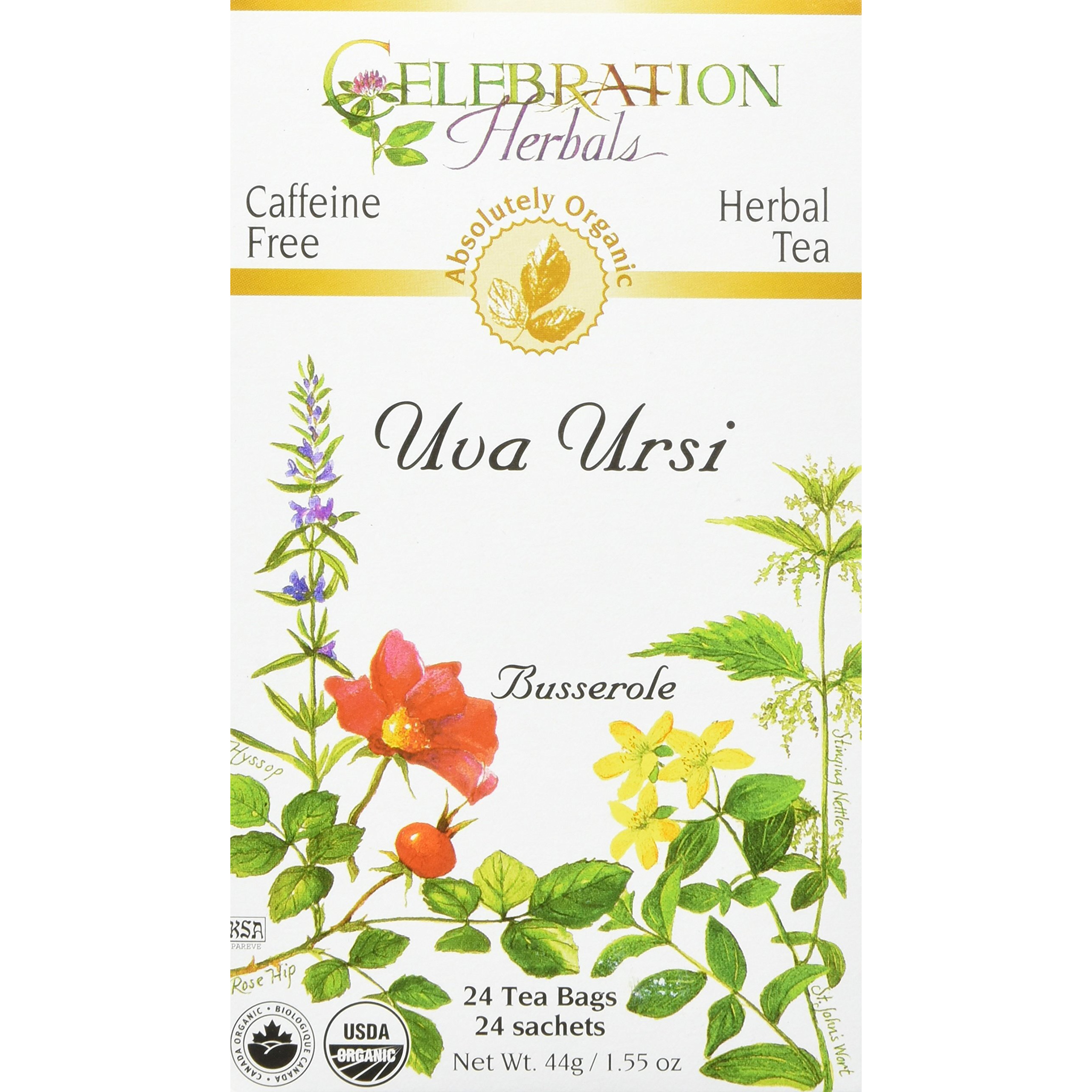Celebration Herbals Uva Ursi Tea Organic 24 Bag, 0.02 Pound
