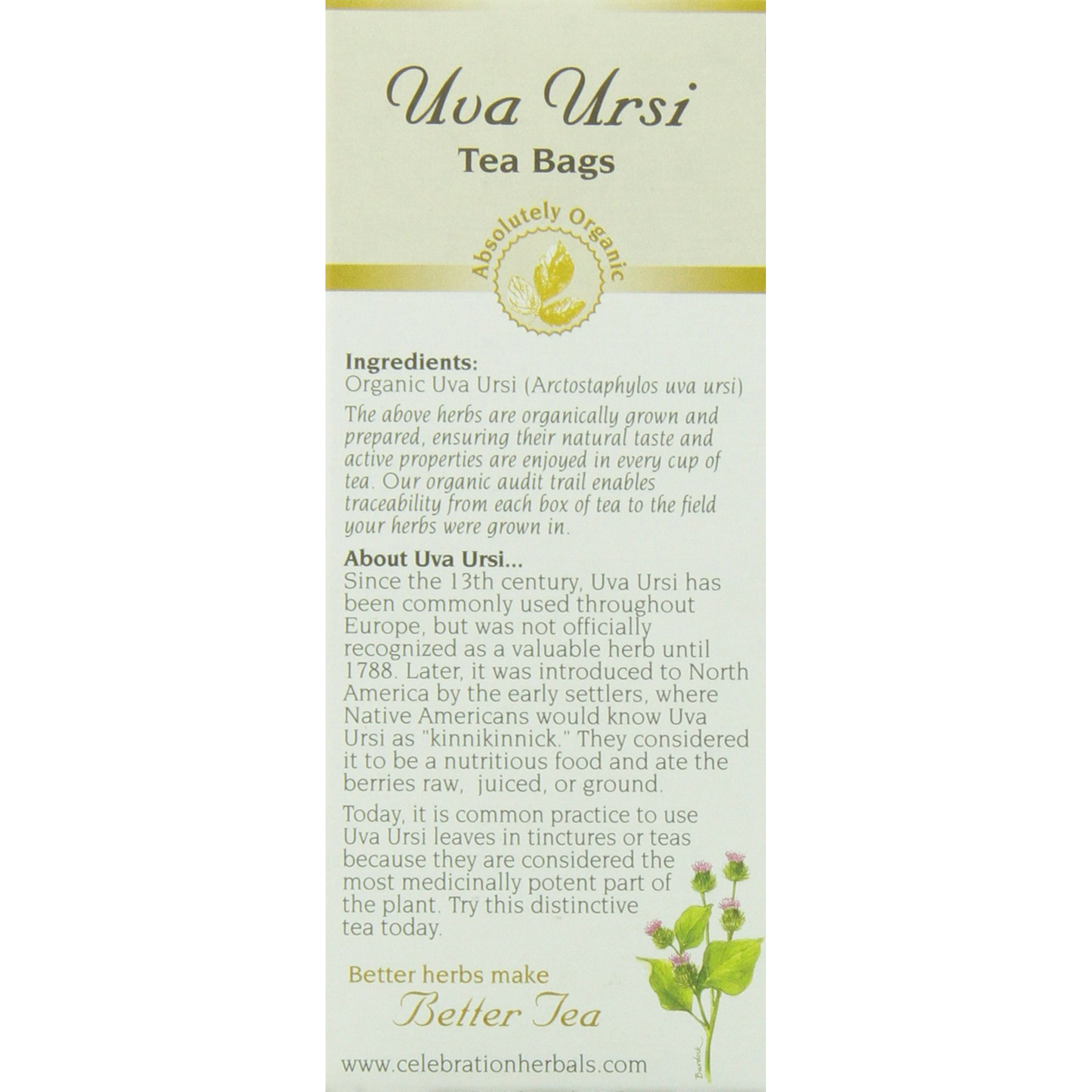 Celebration Herbals Uva Ursi Tea Organic 24 Bag, 0.02 Pound