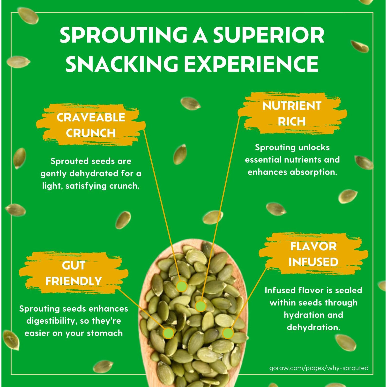 Go Raw , Sprouted Pumpkin And Sunflower Seed Mix| Keto | Vegan | Gluten Free Snacks | Organic | Superfood (Packaging May Vary), 14 Oz(Single) (71450-64157), .0 Oz, Unsalted Mix 1 Pound 16.0 Ounce