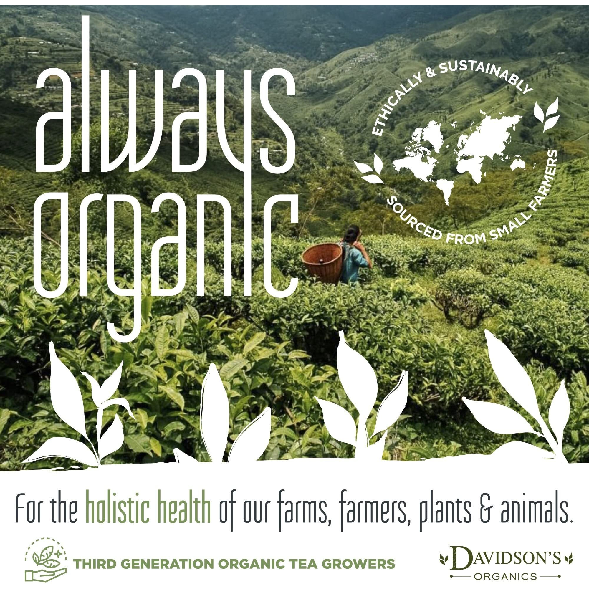 Davidson's Organics, Imperial Green, Loose Leaf Tea, 16-Ounce Bag