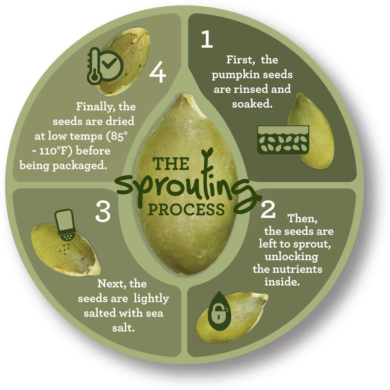 Harvested For You Sea Salted Sprouted Pumpkin Seeds, 22Oz Bag, Non Gmo, Paleo, Gluten Free, Vegan, Organic, Plant Based, Keto