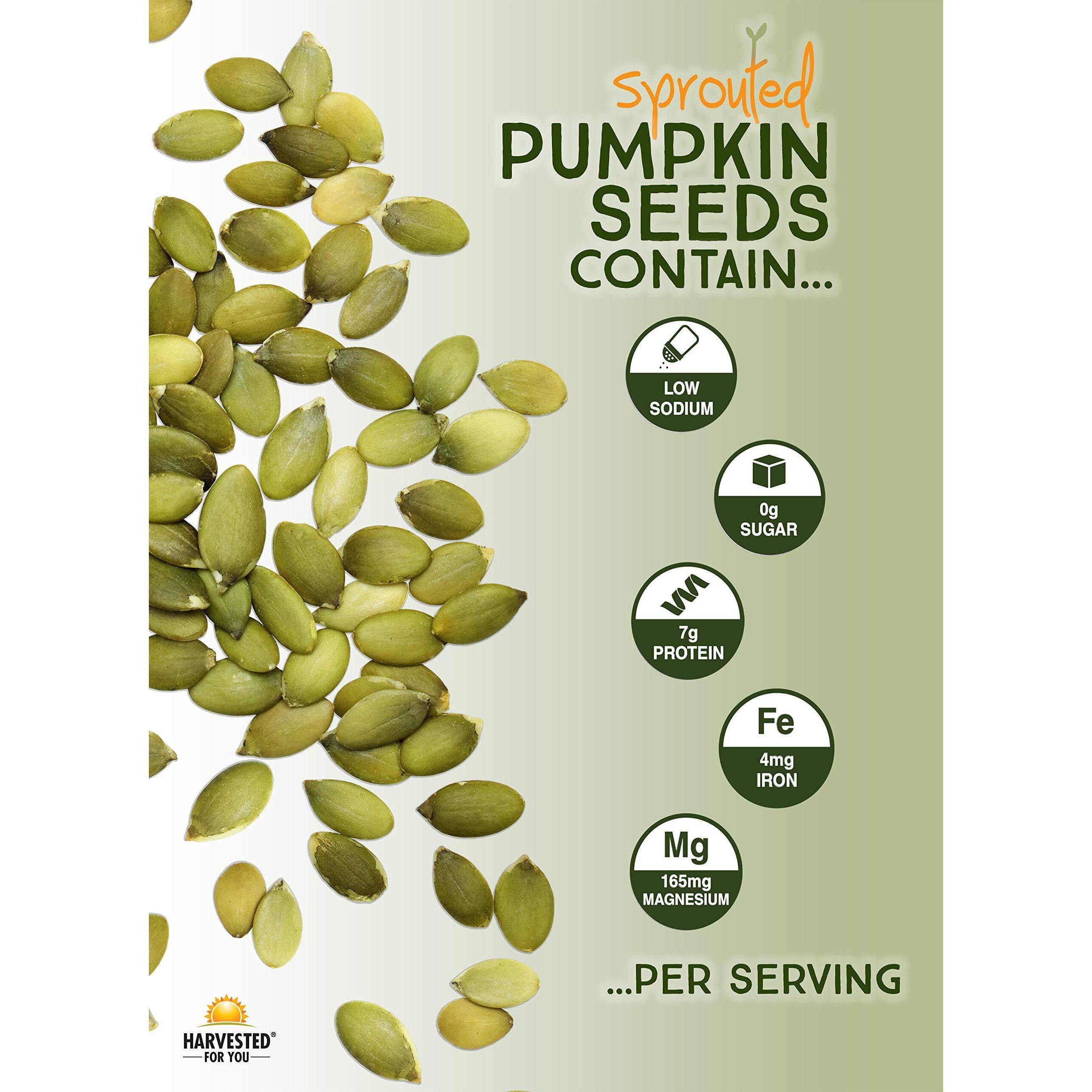 Harvested For You Sea Salted Sprouted Pumpkin Seeds, 22Oz Bag, Non Gmo, Paleo, Gluten Free, Vegan, Organic, Plant Based, Keto