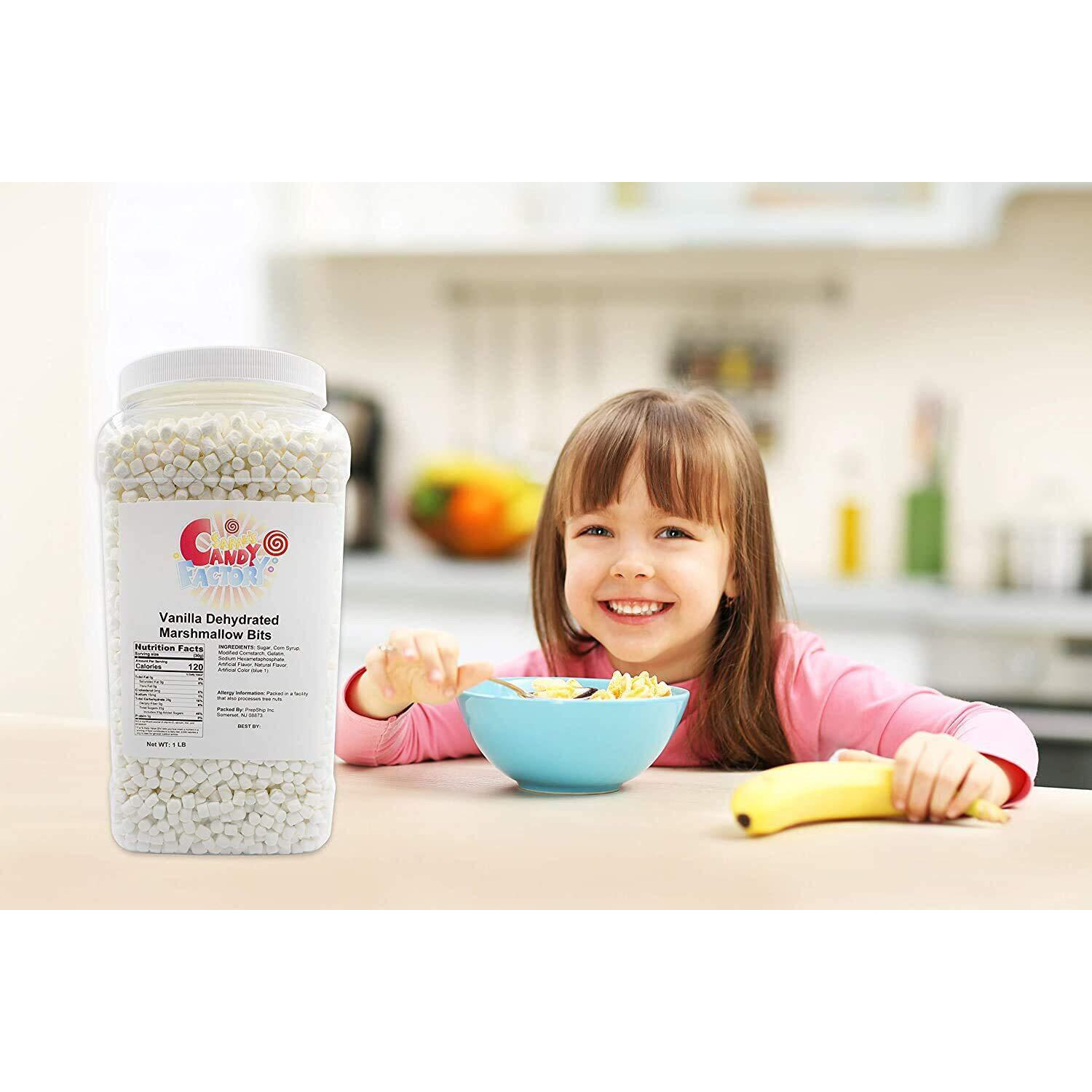 Sarah's Candy Factory Vanilla Mini Dehydrated Marshmallows In Jar, 1 Lb