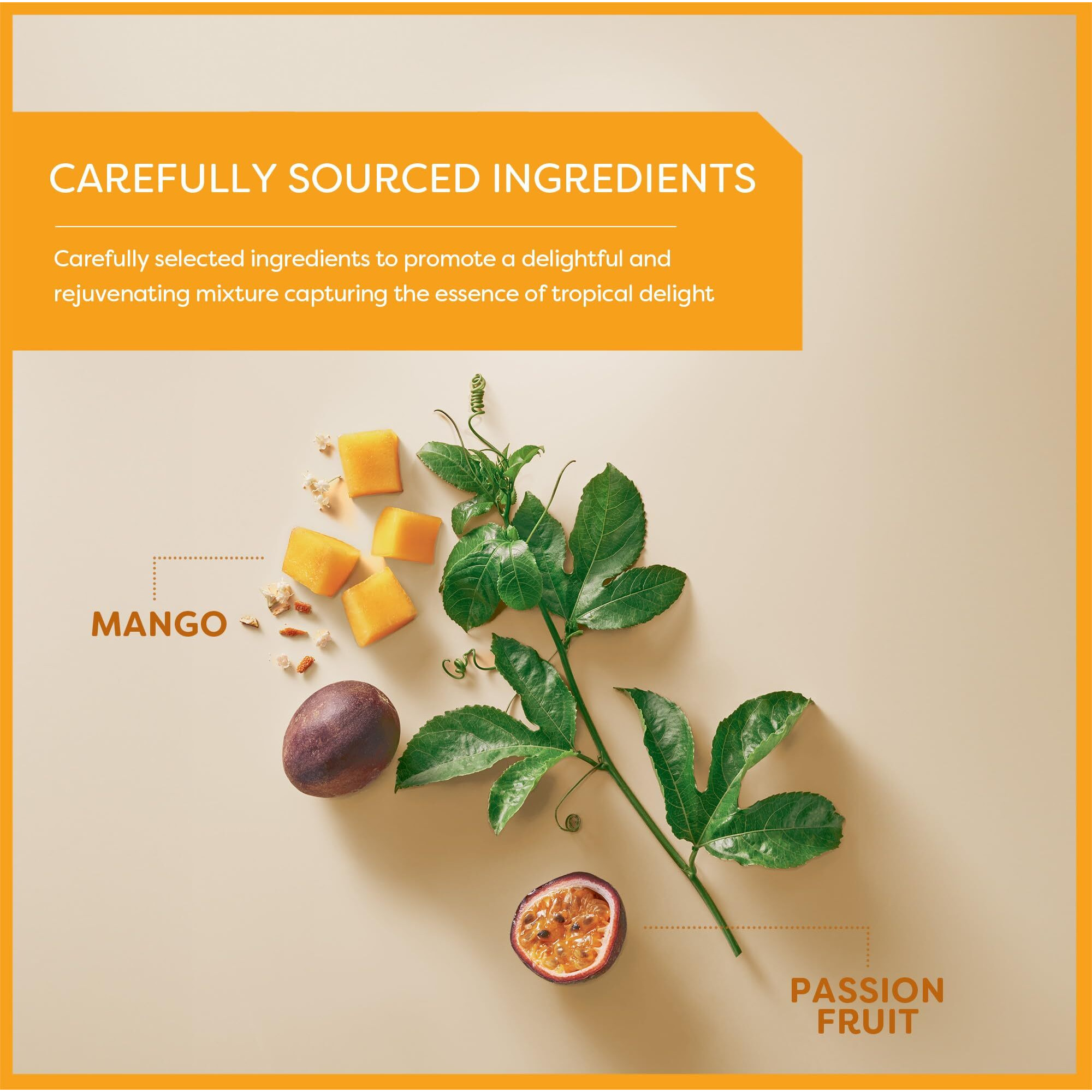 Wissotzky Mango & Passion Fruit Herbal Tea, 20 Tea Bags