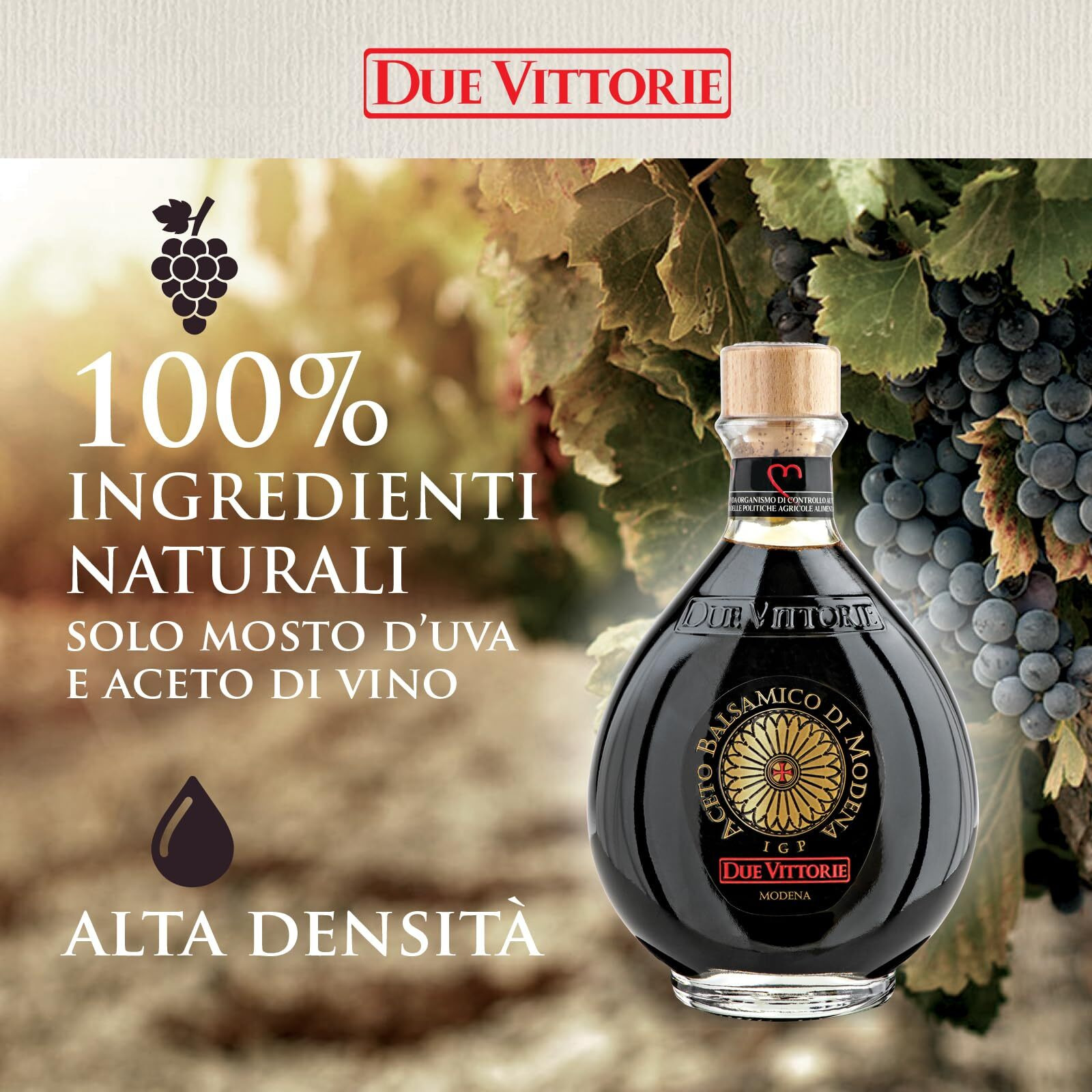 Due Vittorie Oro Gold, Barrel Aged Balsamic Vinegar Of Modena Igp With Cork Pourer, All-Natural, Extra Dense Premium Vinegar Aceto Balsamico Di Modena Igp Italy - 8.45Fl Oz / 250Ml