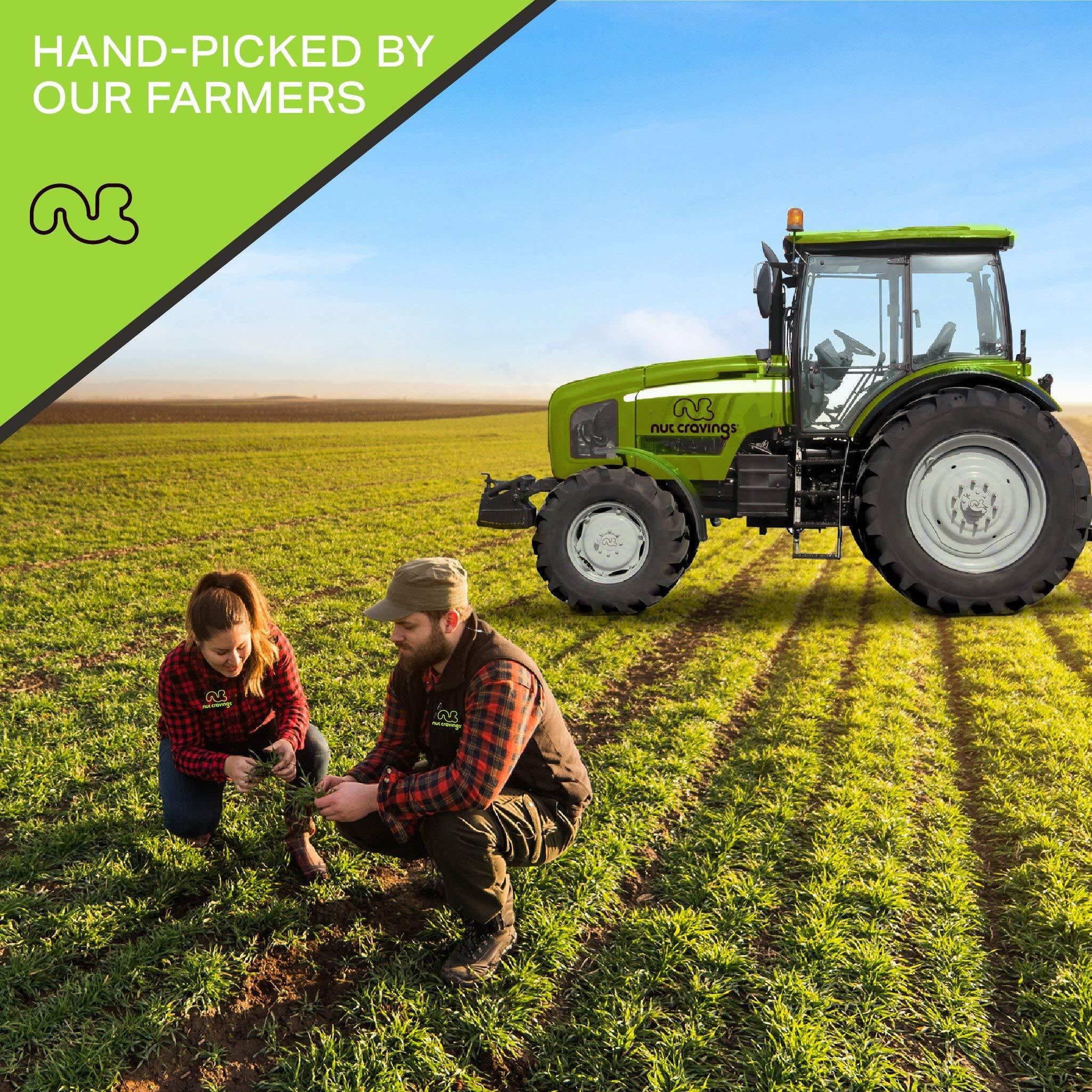 Nut Cravings - Brazil Nuts Roasted & Salted - No Shell, Whole (16Oz - 1 Lb) Bulk Nuts Packed Fresh In Resealable Bag - Healthy Protein Food Snack, All Natural, Keto Friendly, Vegan, Kosher