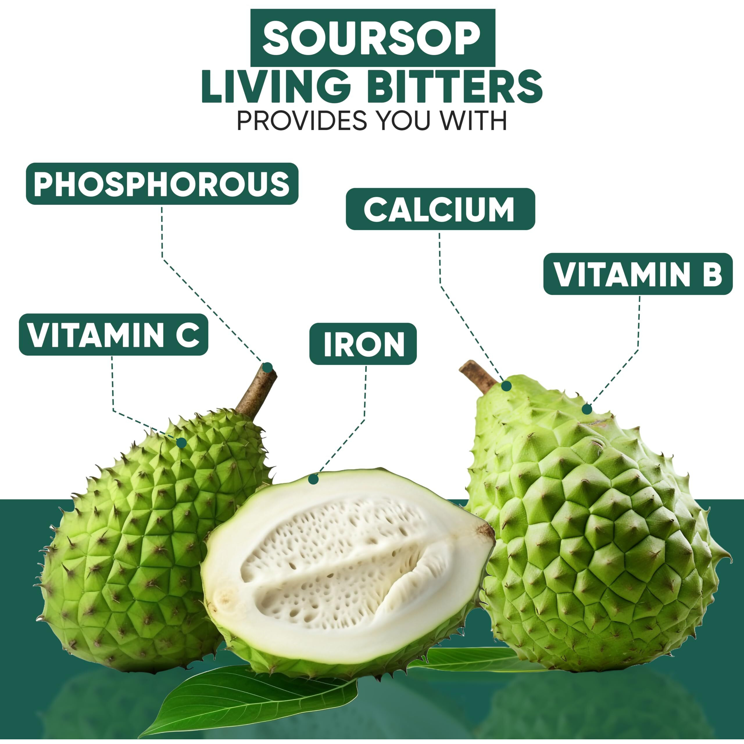 Herboganic Soursop Bitters Liquid | Natural Living Bitters For Overall Wellness 16 Oz | Soursop Bitters
