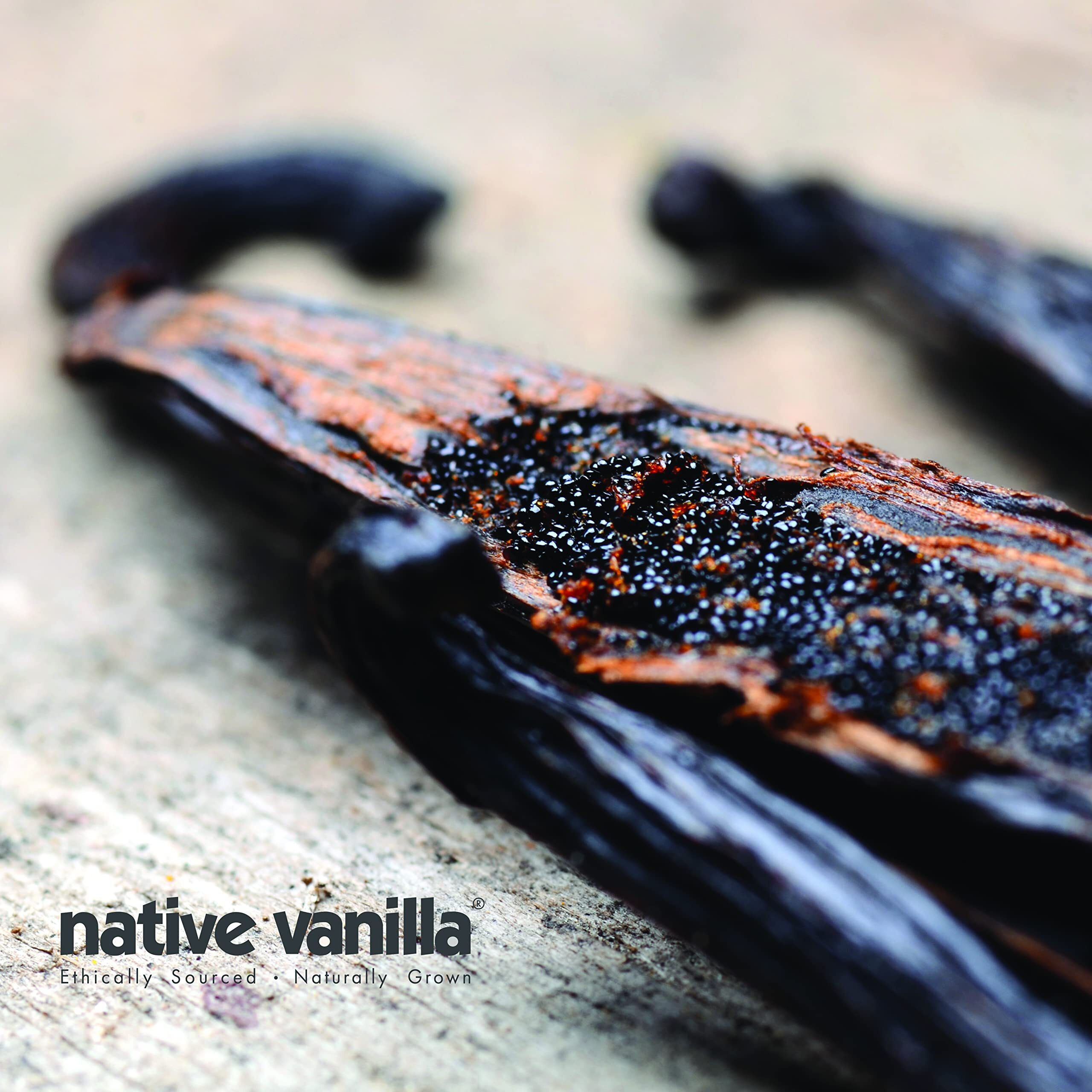 10 Organic Madagascar Vanilla Beans - Grade A Premium Vanilla Pods - 30-35% Moisture Content - For Cooking, Baking & Desserts - 100% Vegan & Kosher - Non-Gmo & Gluten-Free - Native Vanilla