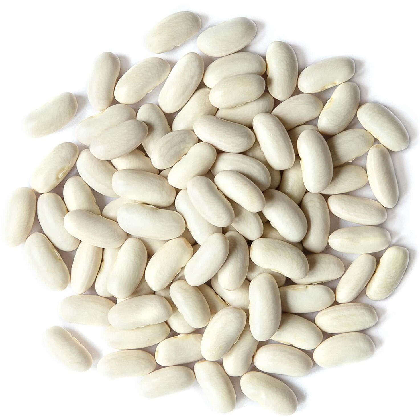 Food To Live Organic Cannellini Beans, 1 Pound - Non-Gmo, Dried White Kidney Beans, Sproutable, Vegan, Kosher, Bulk. Pre-Soak Needed. Rich In Fiber, Protein. Great For Minestrone Soup, Bean Salad.