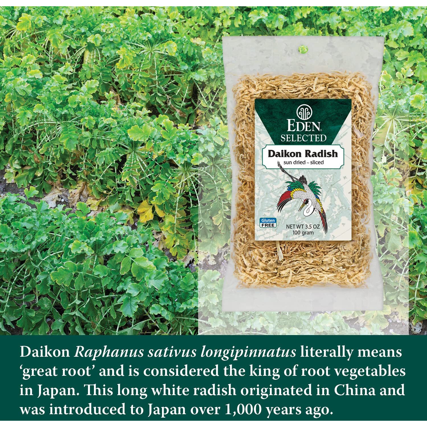 Eden Daikon Radish, Sun Dried And Finely Sliced, Traditionally Made In Japan, 3.5 Oz