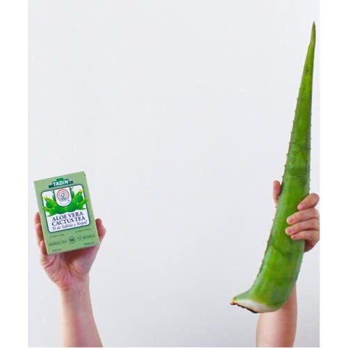 Tadin Aloe Vera Cactus Herbal Tea, Caffeine Free, 24 Tea Bag Per Box, Pack Of 6 Boxes Total