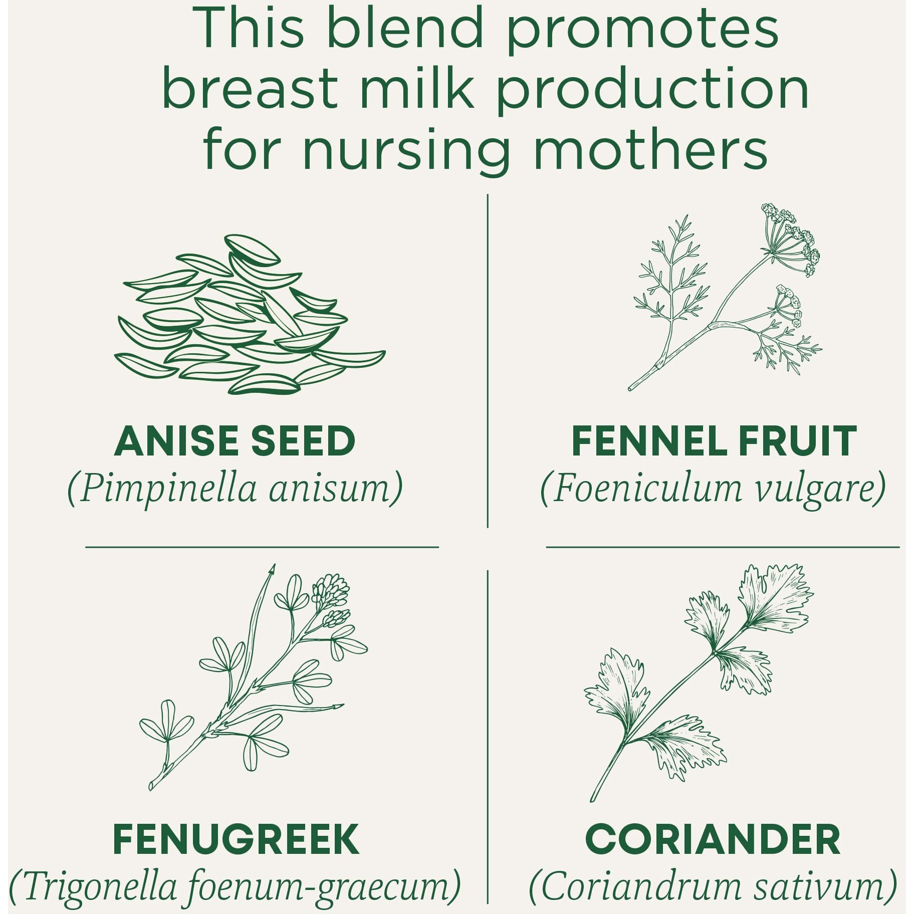 Traditional Medicinals Tea, Organic Mother's Milk, Promotes Healthy Lactation, Breastfeeding Support, 32 Tea Bags