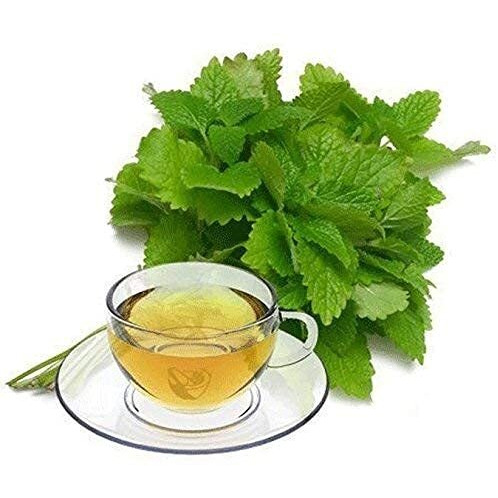 Lemon Balm - Melissa Officinalis Dried Loose Leaf By Nature Tea (2 Oz)