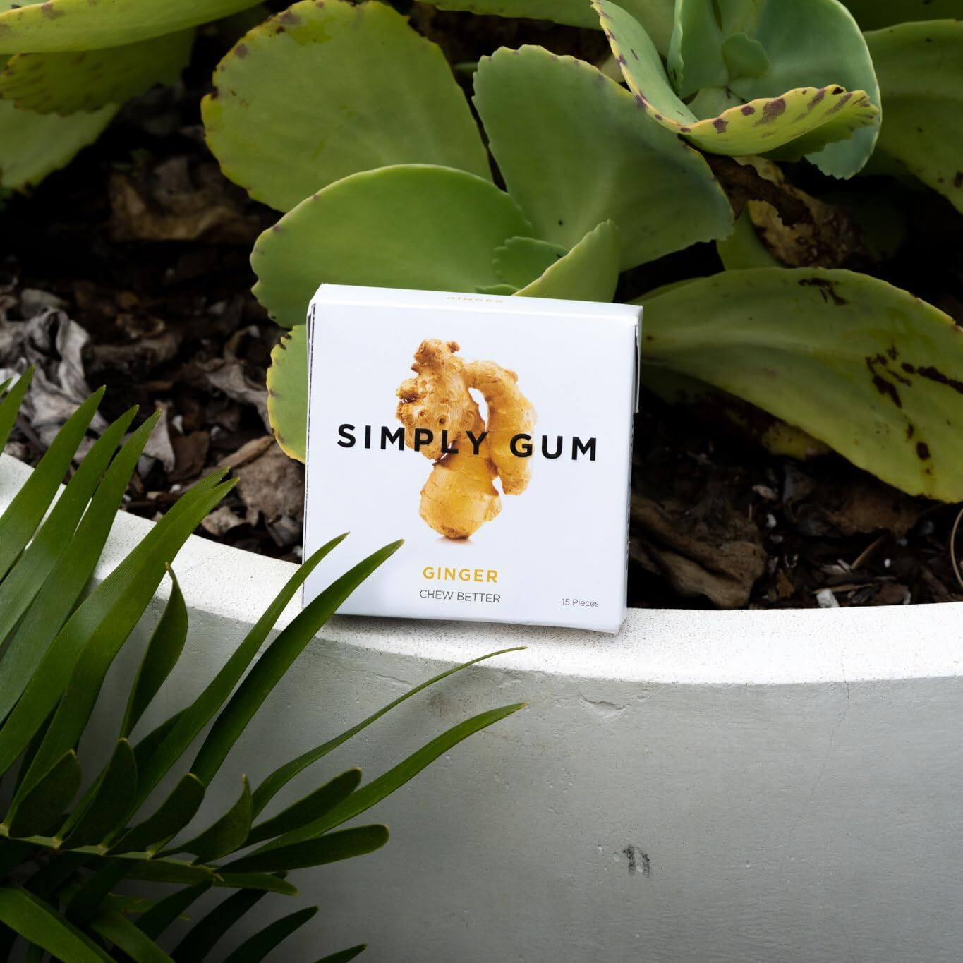 Simply Gum | Ginger | Plant- Based Chewing Gum | Pack Of Six (90 Pieces Total) | Synthetic Free + Aspartame Free + Non Gmo