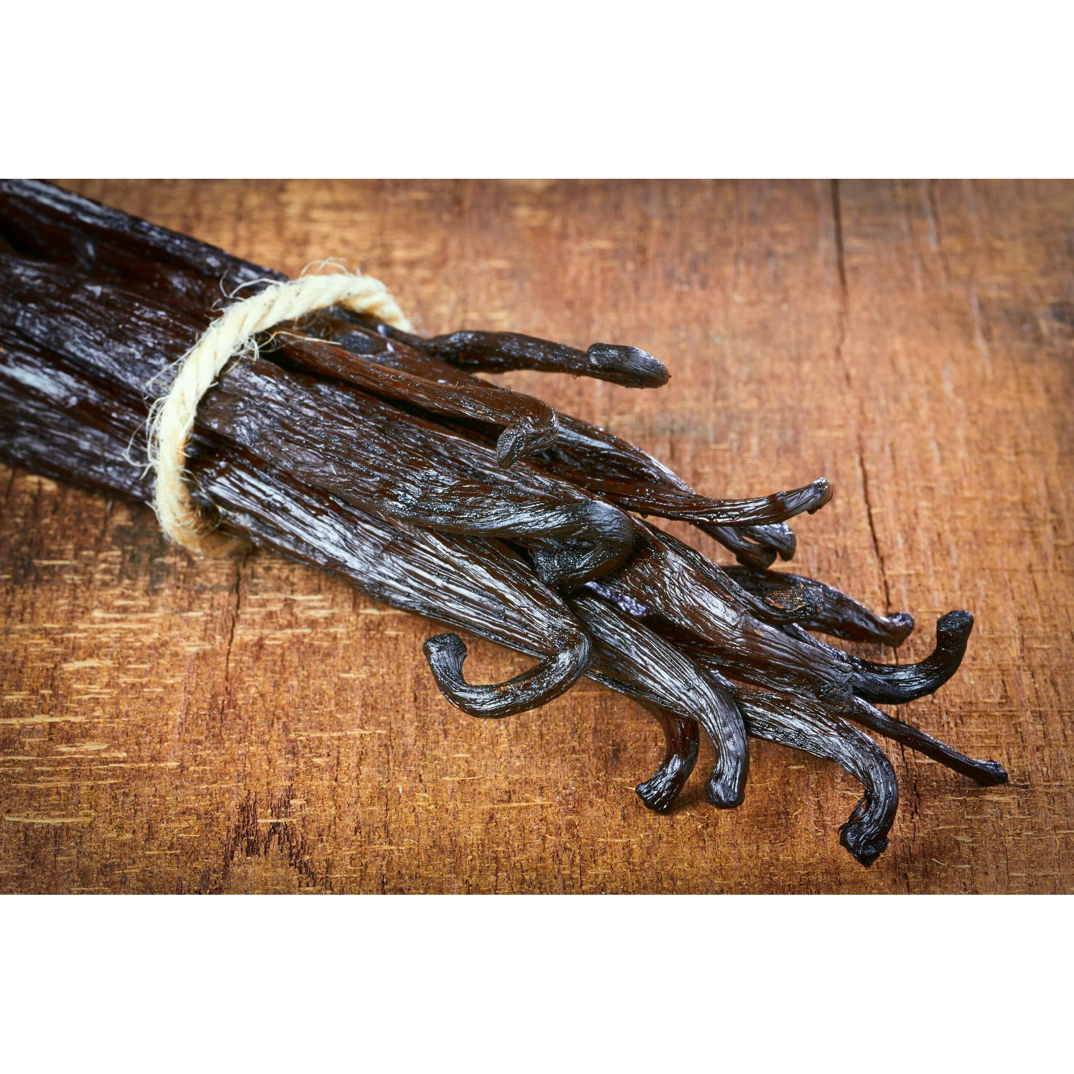 50 Organic Madagascar Vanilla Beans. Whole Grade A Vanilla Pods For Vanilla Extract And Baking