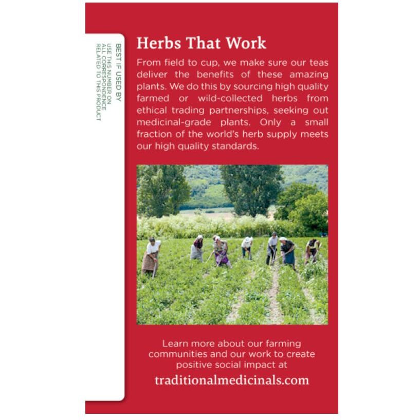 Traditional Medicinals Breathe Easy Eucalyptus Mint Herbal Tea, Promotes Respiratory Health, (Pack Of 1) - 16 Tea Bags