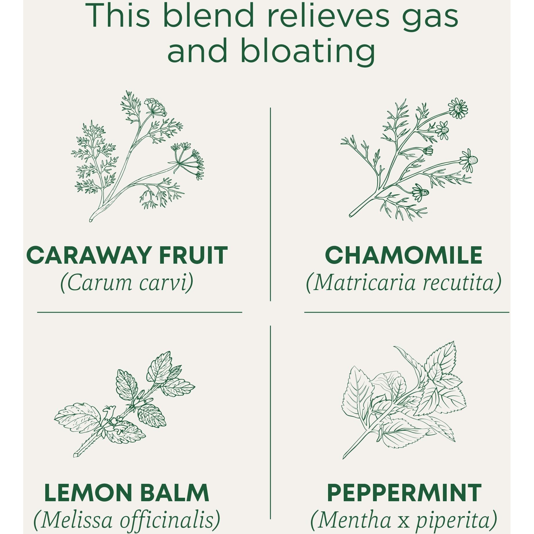 Traditional Medicinals Tea, Organic Gas Relief, Relieves Gas & Bloating, Chamomile Mint, 16 Count (Pack Of 6)