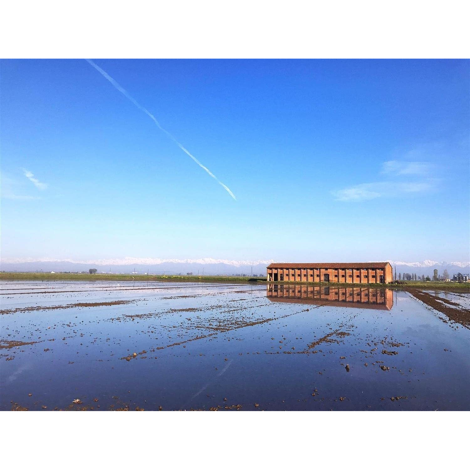 Acquerello Rice Bag, 5.5 Pound