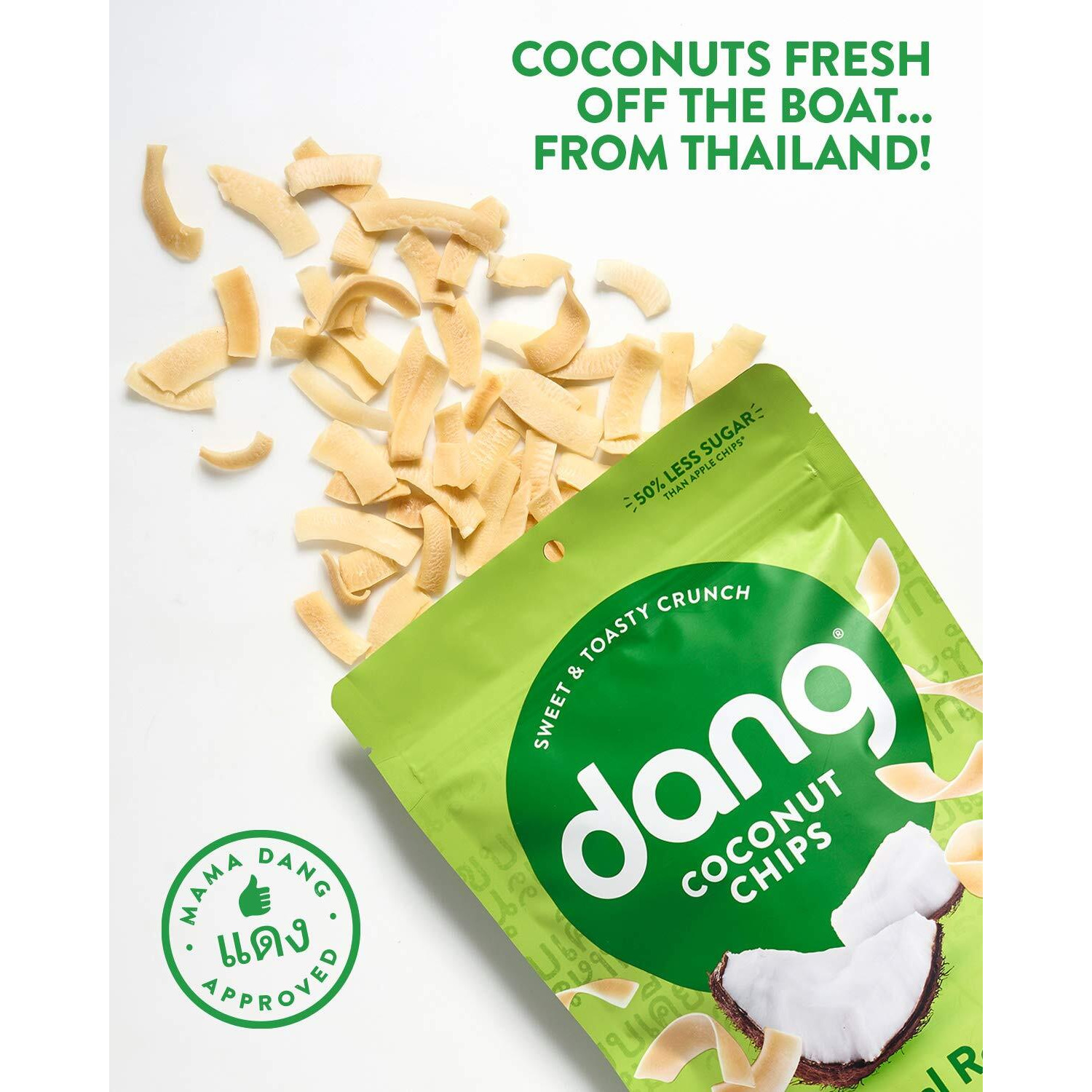 Dang Toasted Coconut Chips | Original | 1 Pack | Vegan, Gluten Free, Non Gmo, Healthy Snacks Made With Whole Foods | 3.17 Oz Resealable Bag