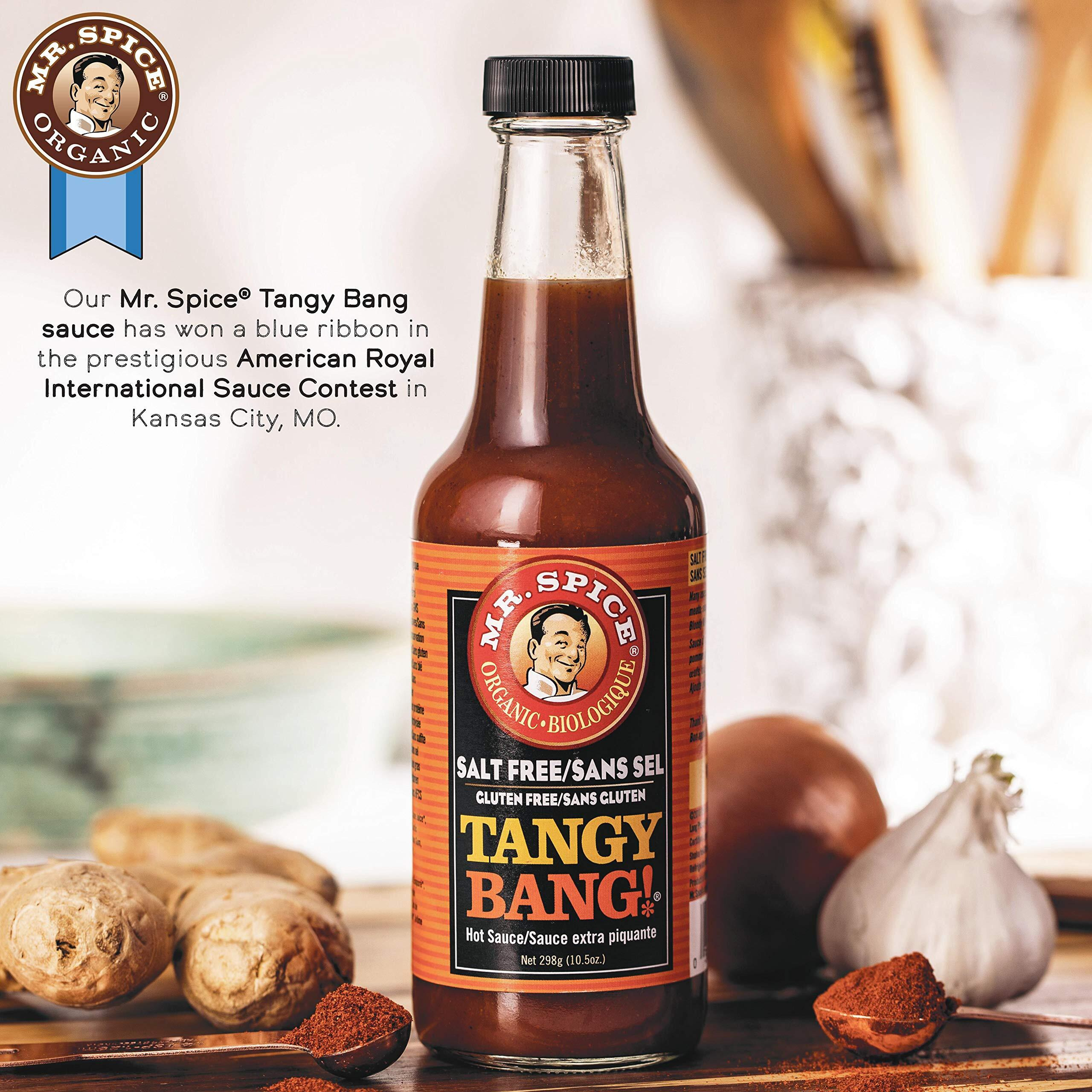 Mr. Spice Organic - Salt Free Sauce (Tangy Bang, Single)