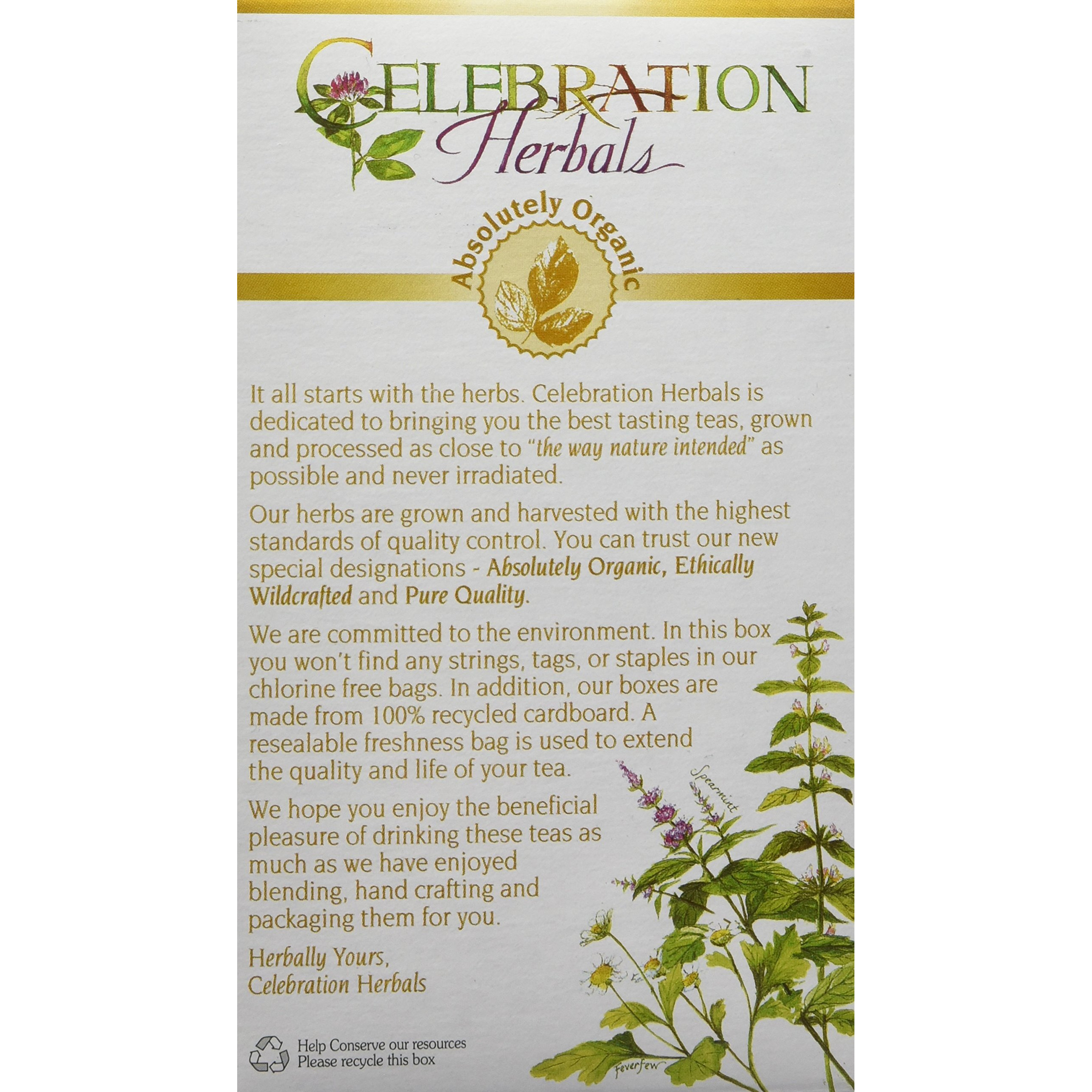 Celebration Herbals Organic Sarsaparilla Root Tea Bags 24 Count