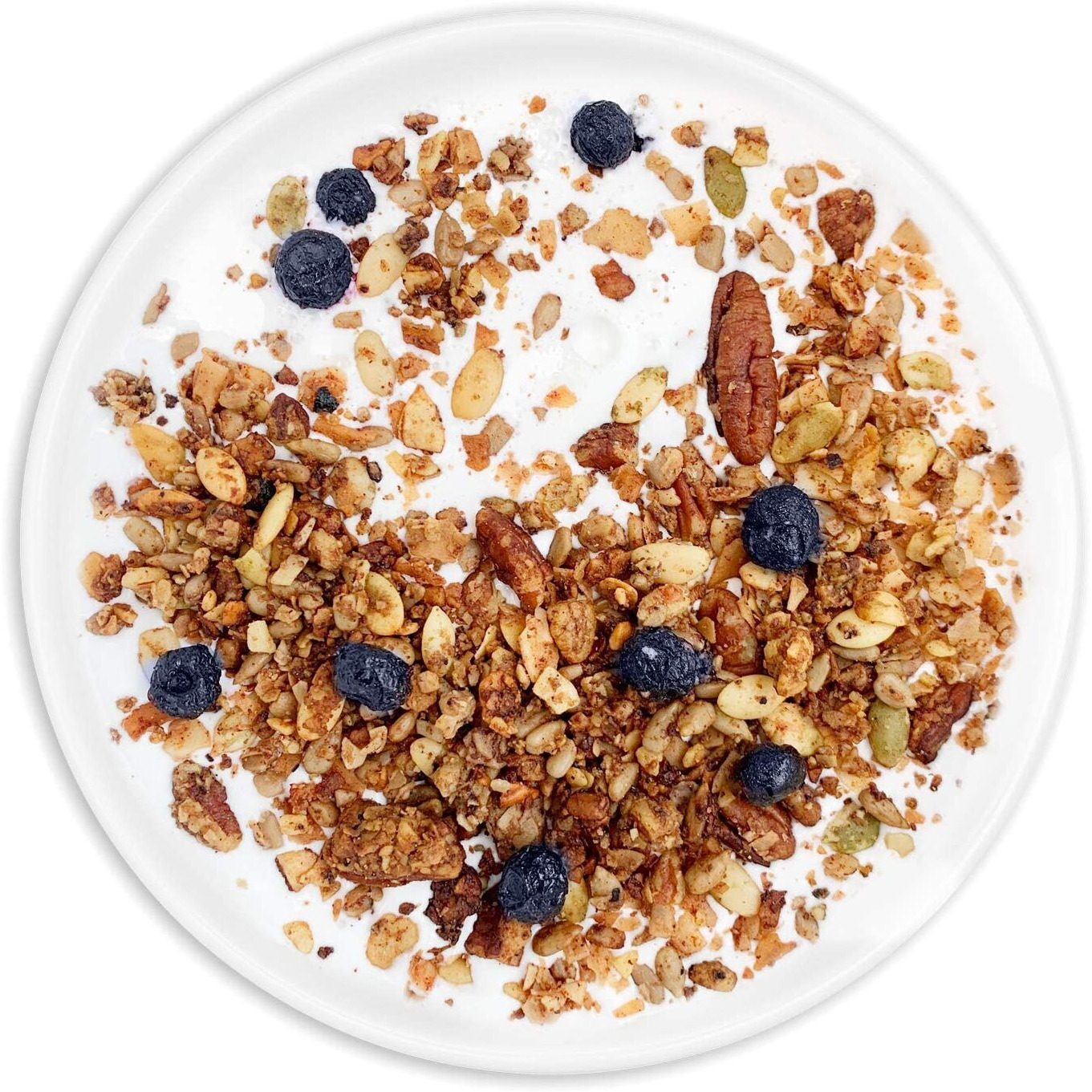 Low Karb Nutrail, Keto Blueberry Nut Granola Healthy Breakfast Cereal, Low Carb Snacks & Food, Almonds, Pecans, Coconut And More, 2G Net Carbs, 1.37 Lb, 22 Oz
