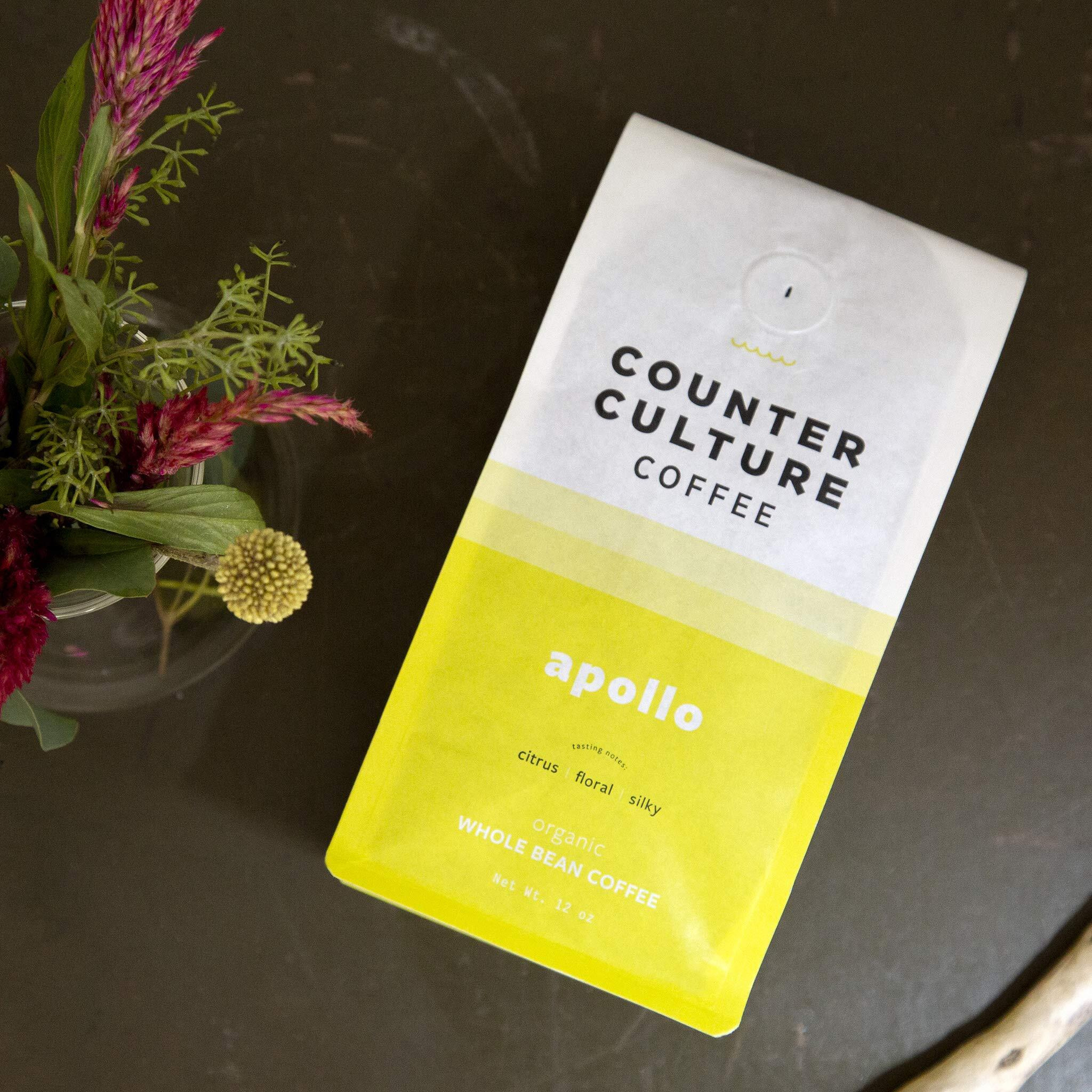 Counter Culture Coffee - Fresh Roasted Certified Organic Whole Bean Coffee (Kosher) (Apollo)